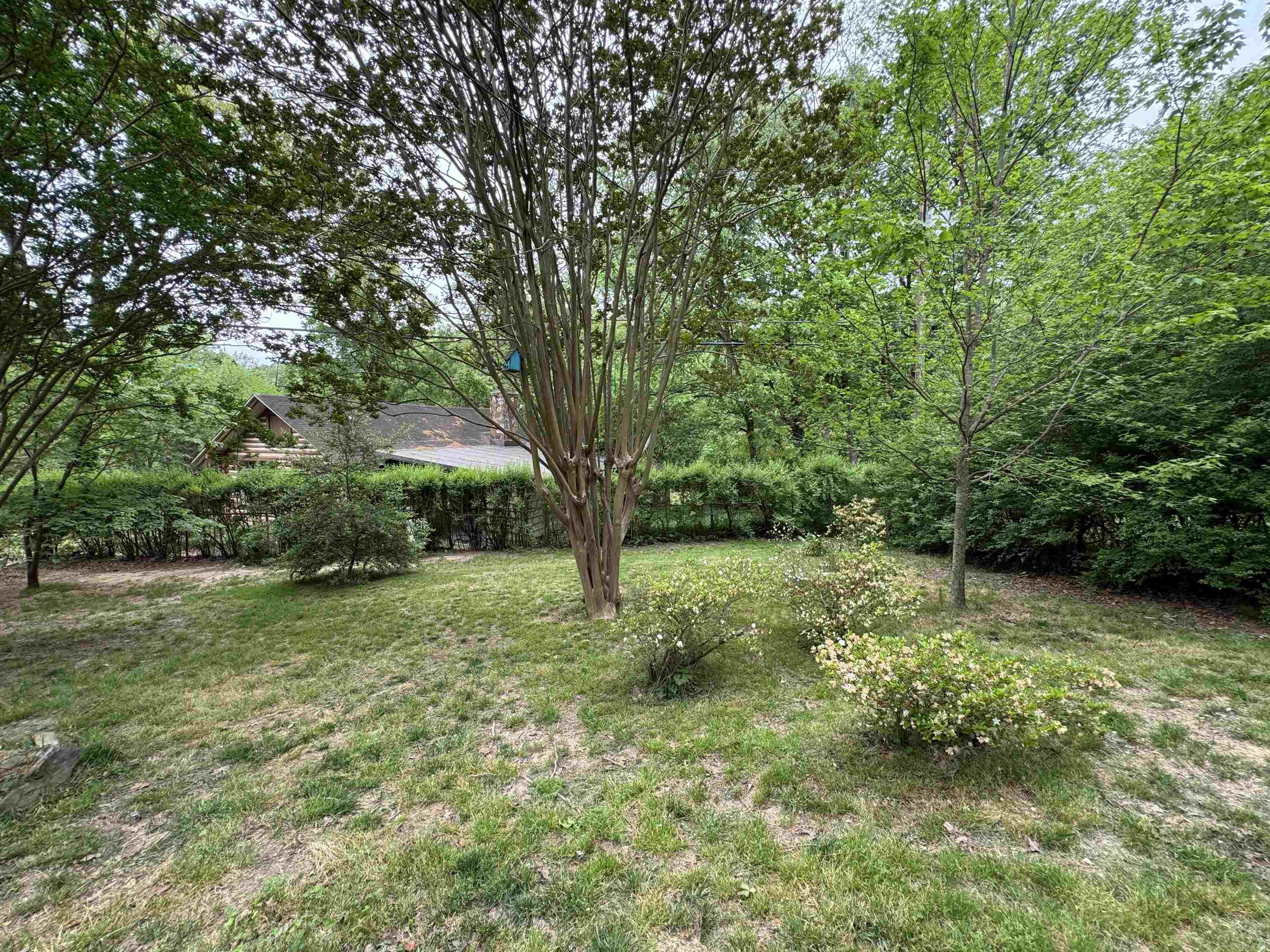 21  Belmont  Little Rock, AR