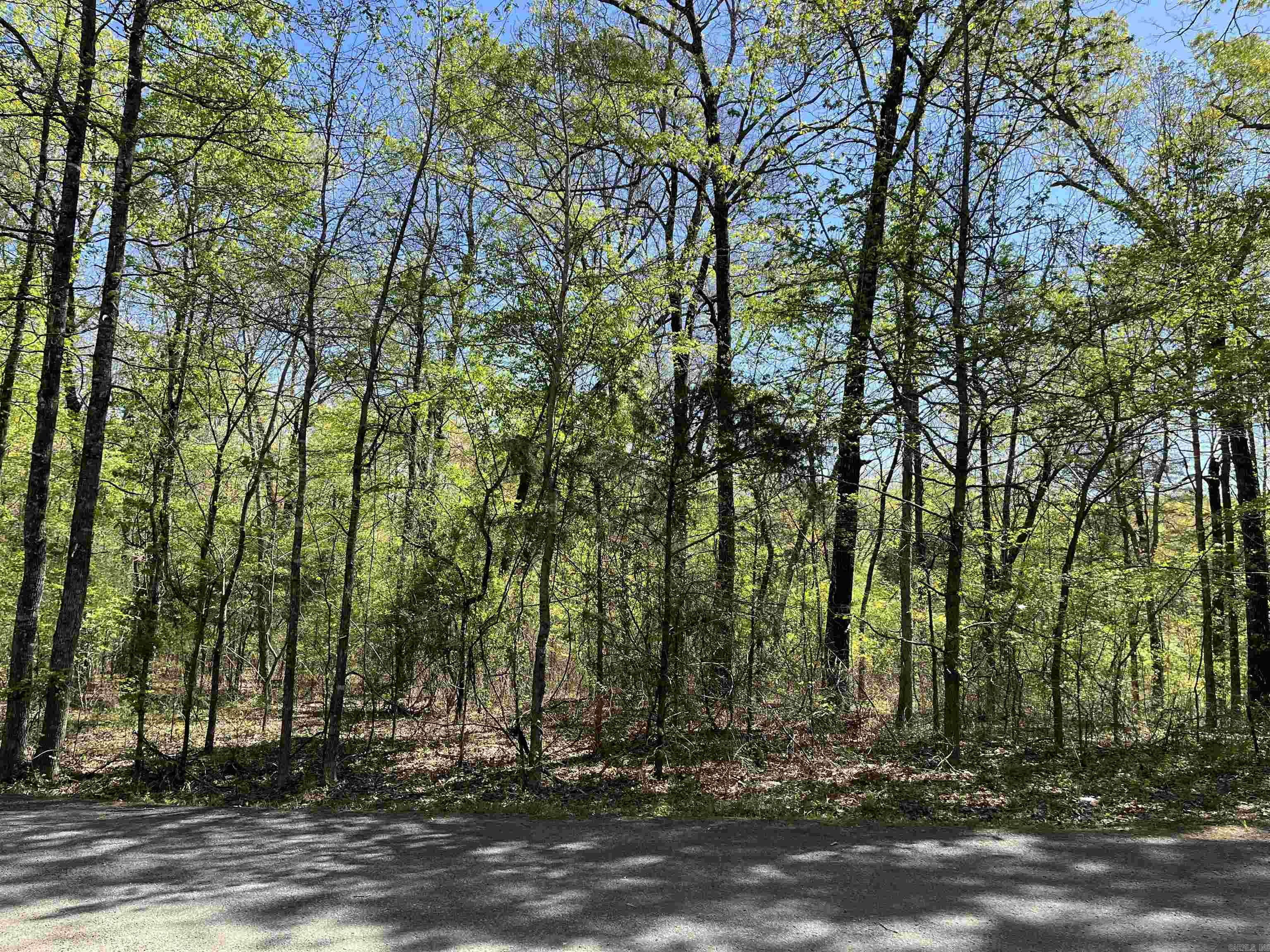 000  Lost Valley Rd  Greenbrier, AR