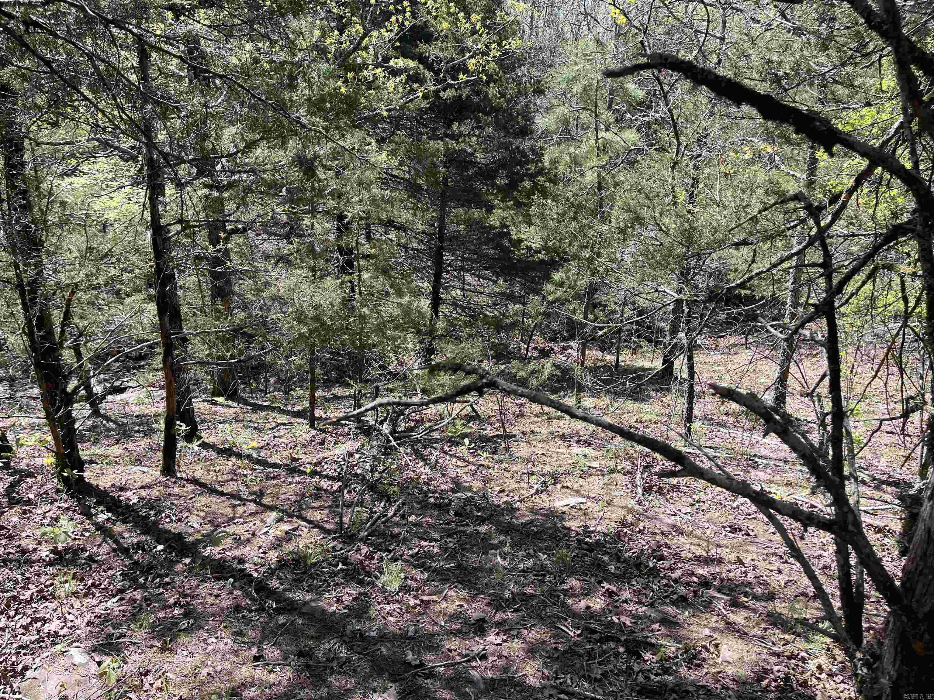 000  Lost Valley Rd  Greenbrier, AR