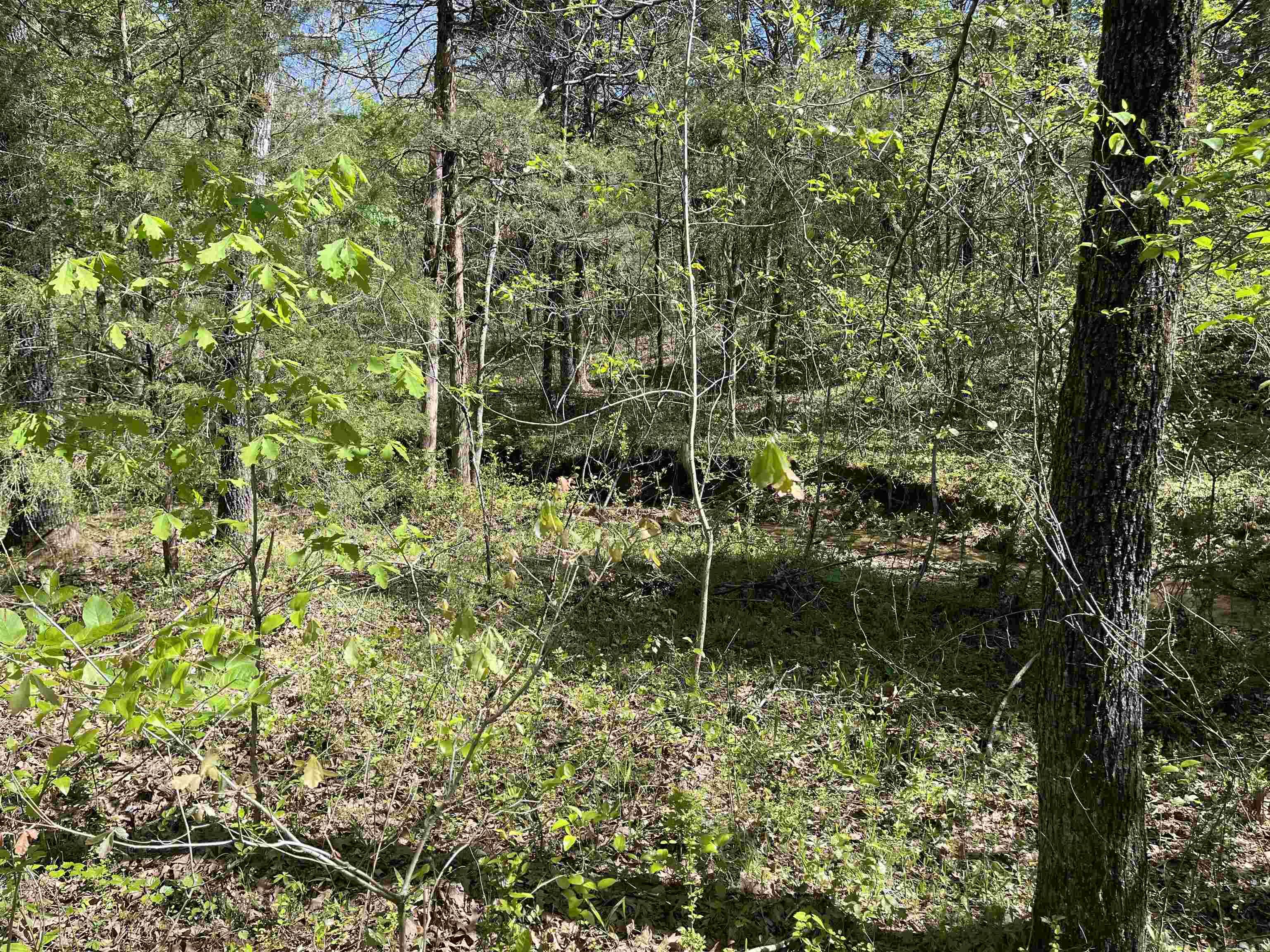 000  Lost Valley Rd  Greenbrier, AR