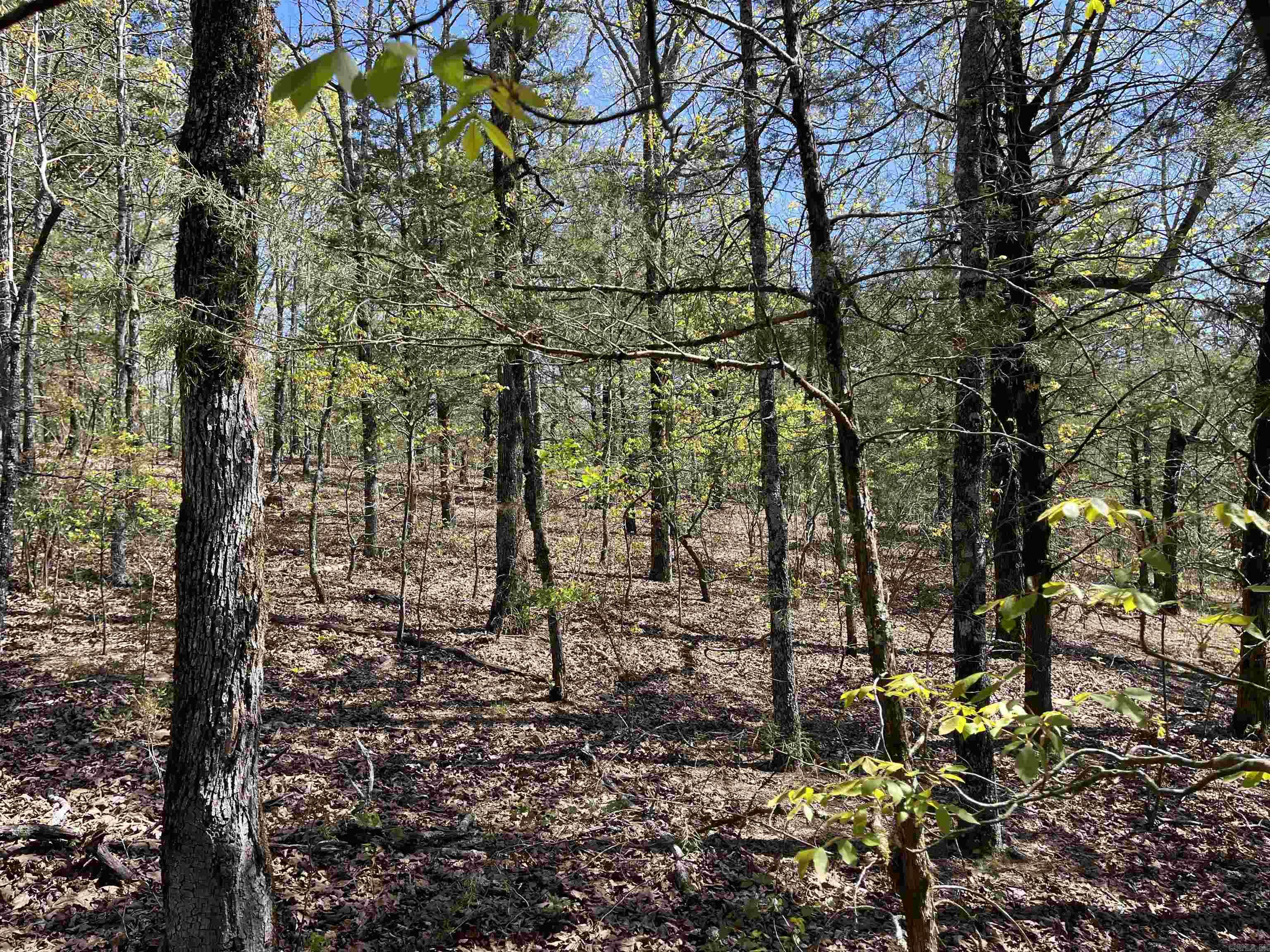 000  Lost Valley Rd  Greenbrier, AR