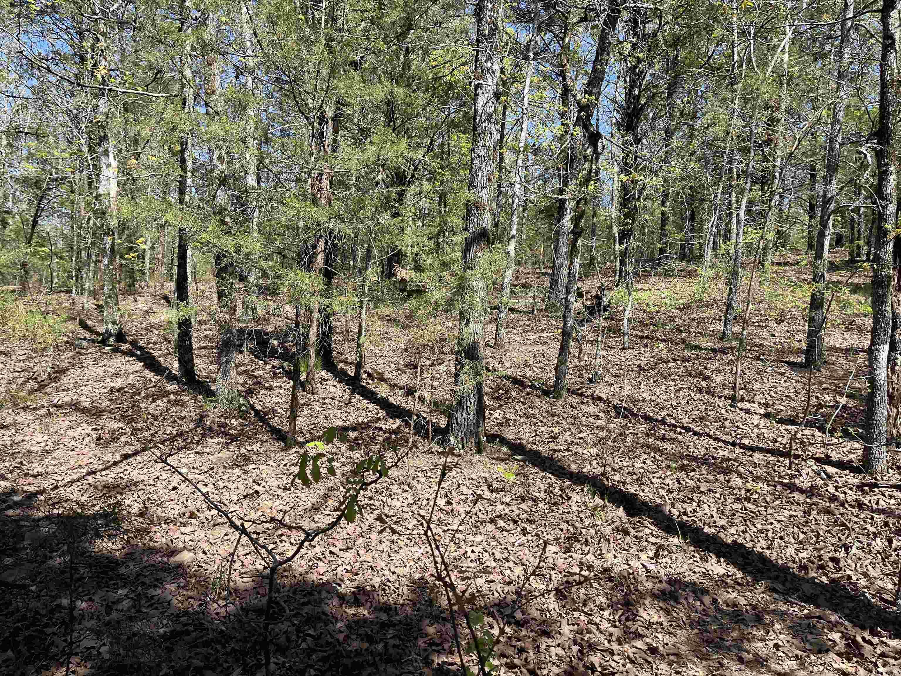 000  Lost Valley Rd  Greenbrier, AR