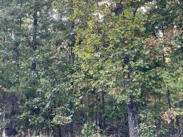 000  Yamasee rd Omaha  Cherokee Village, AR