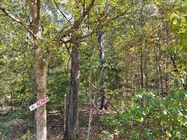 000  Yamasee rd Omaha  Cherokee Village, AR