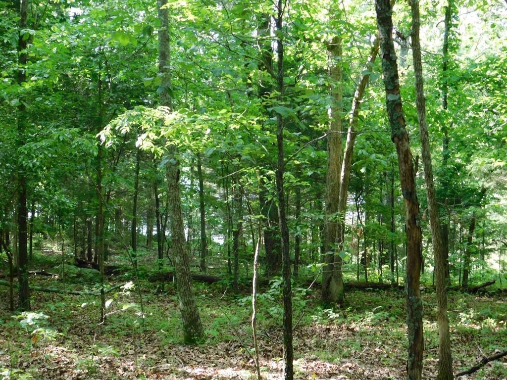 000  Yamasee rd Omaha  Cherokee Village, AR