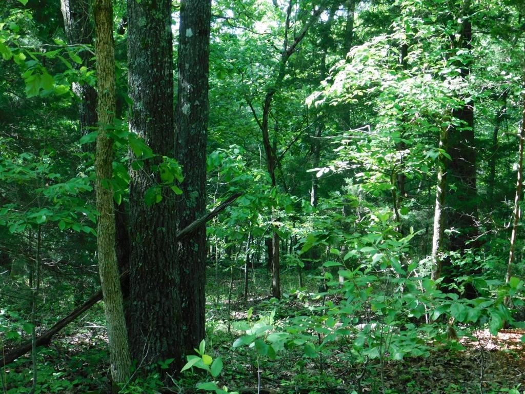 000  Yamasee rd Omaha  Cherokee Village, AR
