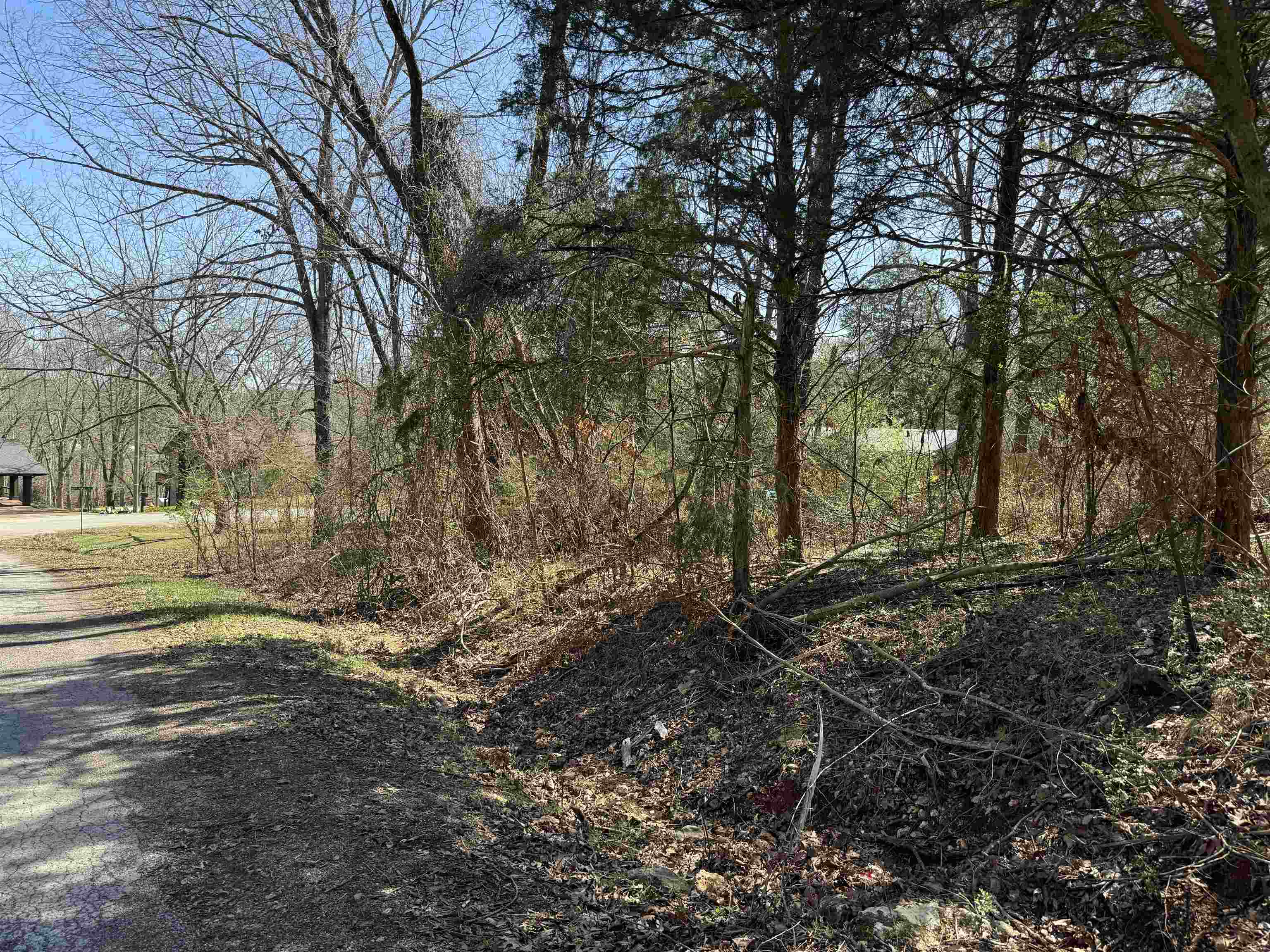 00  Nokomis  Cherokee Village, AR