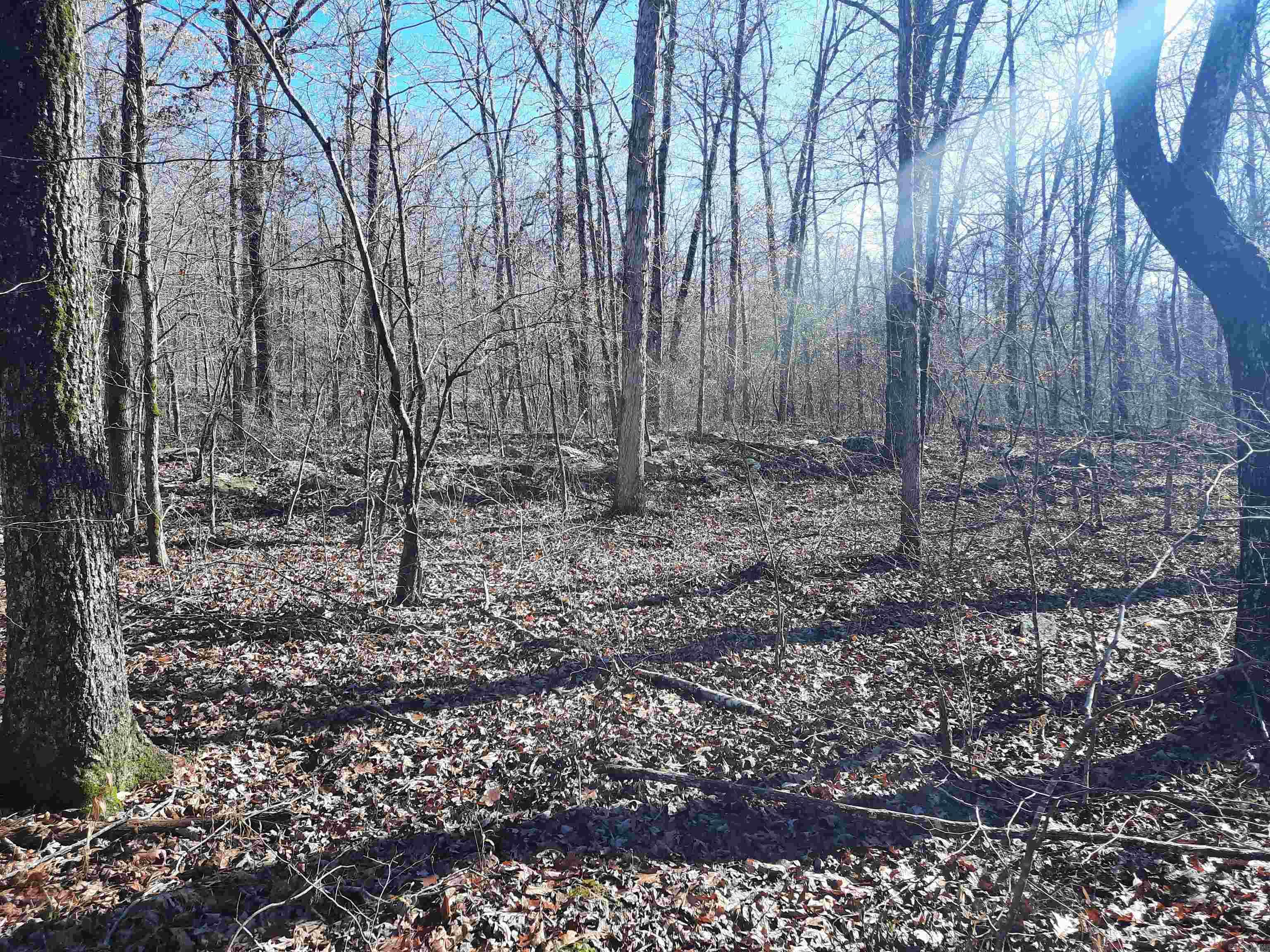 000 S hwy 9  Mountain View, AR
