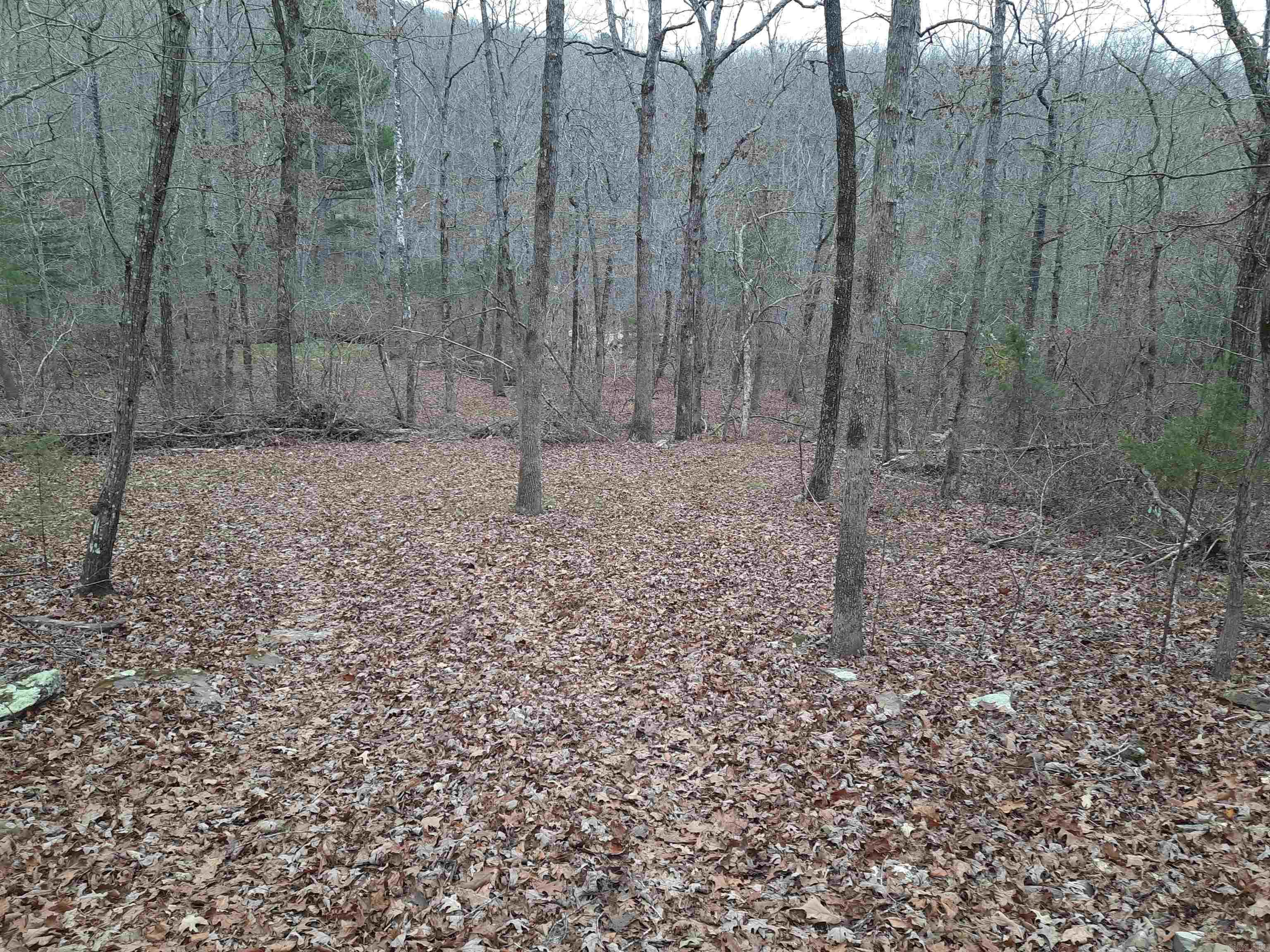 000 S hwy 9  Mountain View, AR