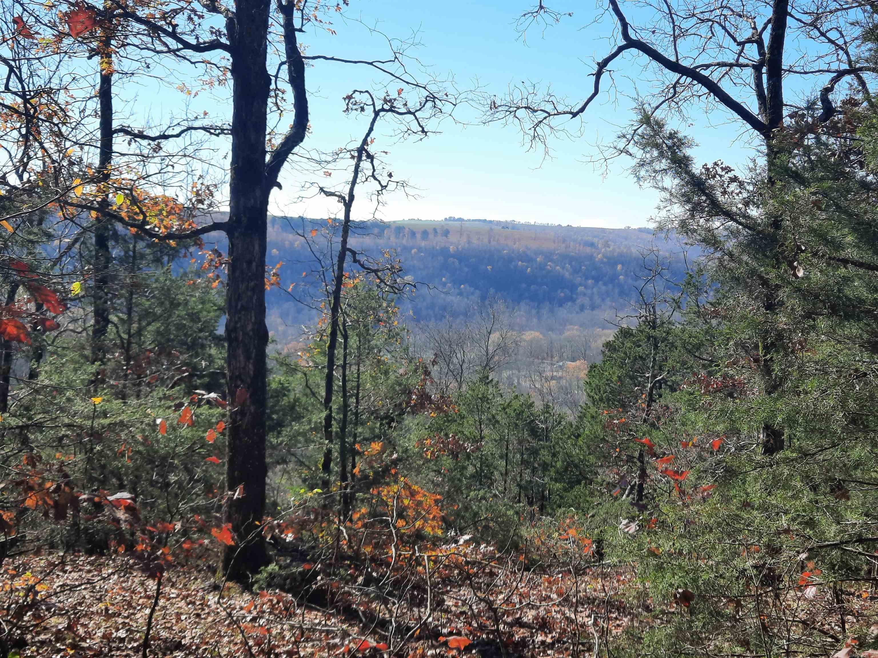 000 S hwy 9  Mountain View, AR