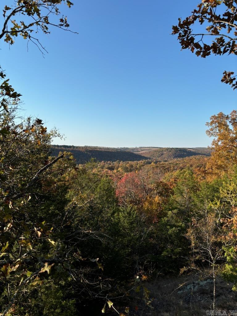 000 S hwy 9  Mountain View, AR