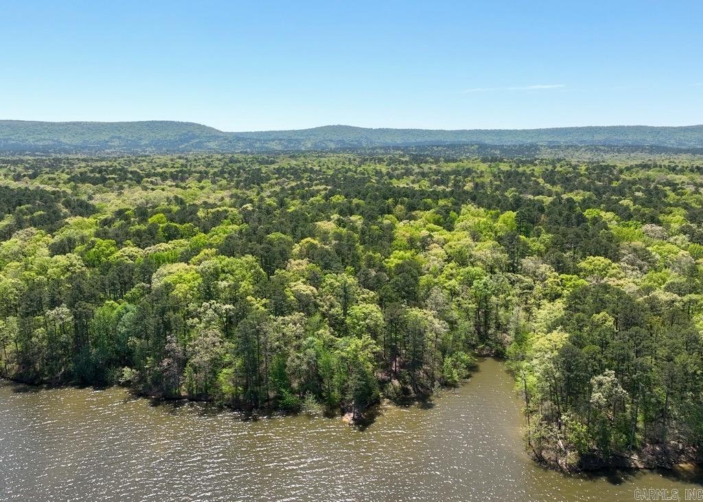 138  Silver Point  Mount Ida, AR