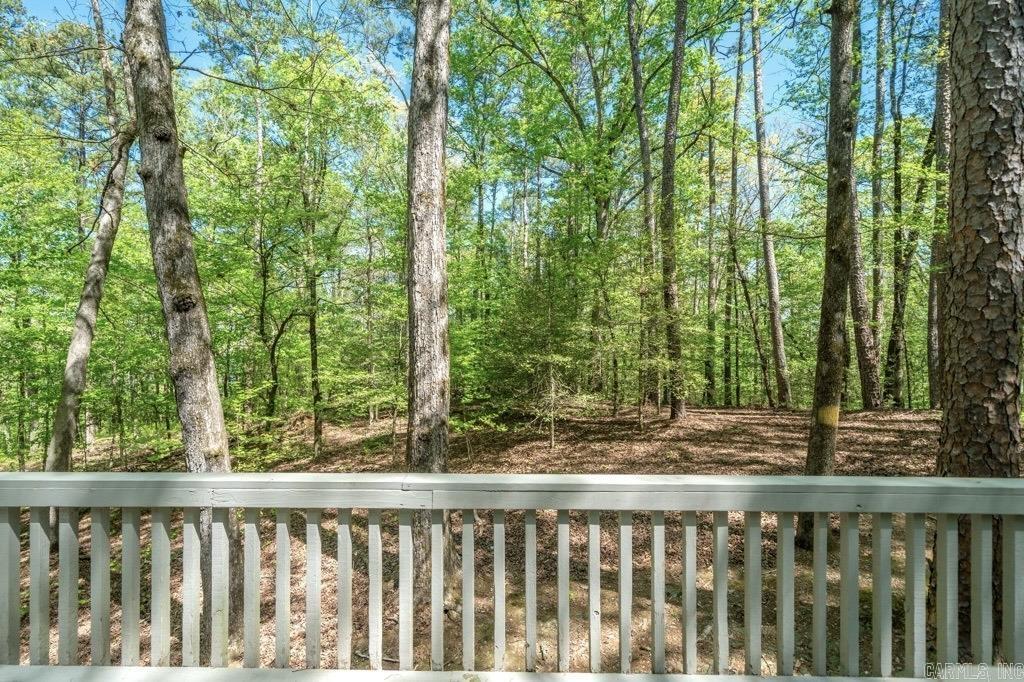 138  Silver Point  Mount Ida, AR