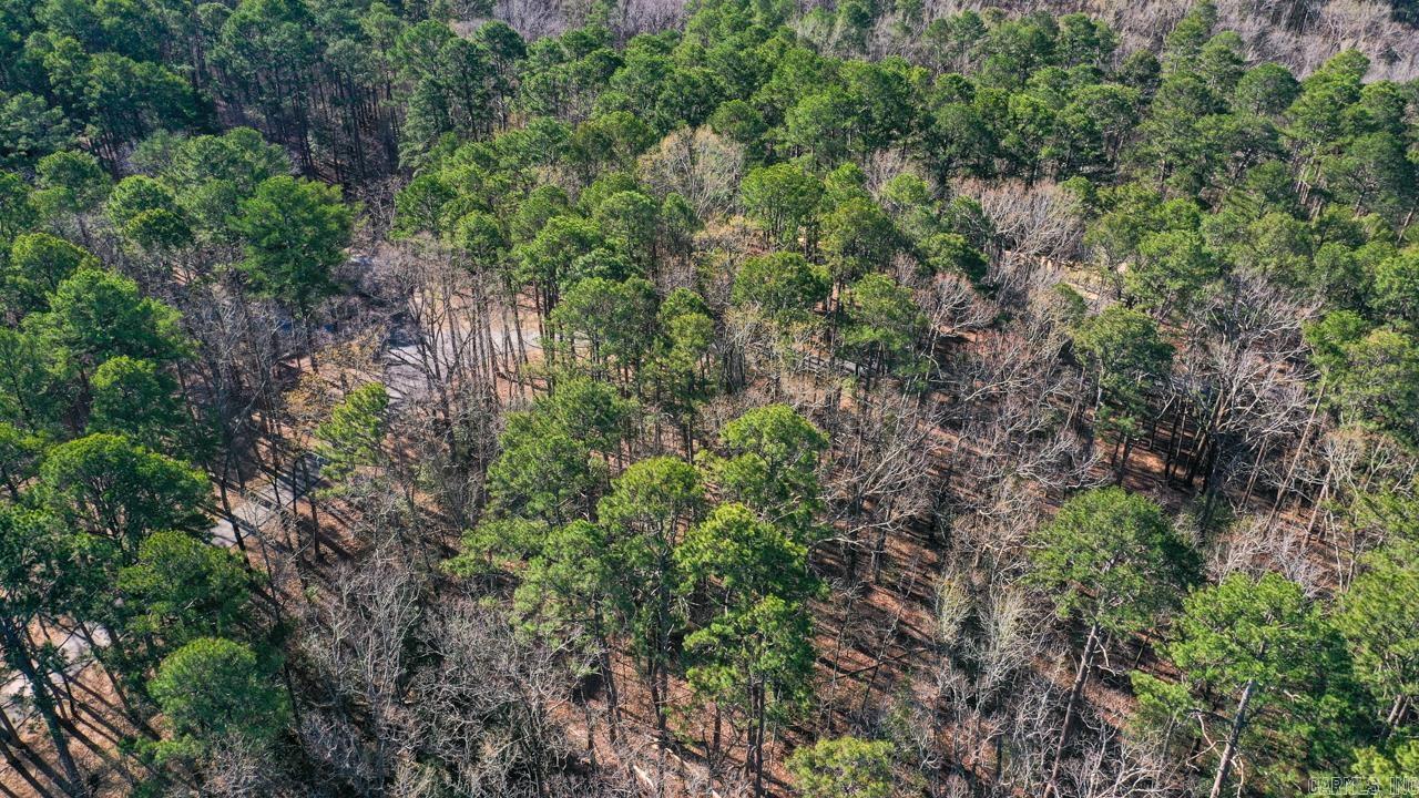TBD  Silver Point  Mount Ida, AR