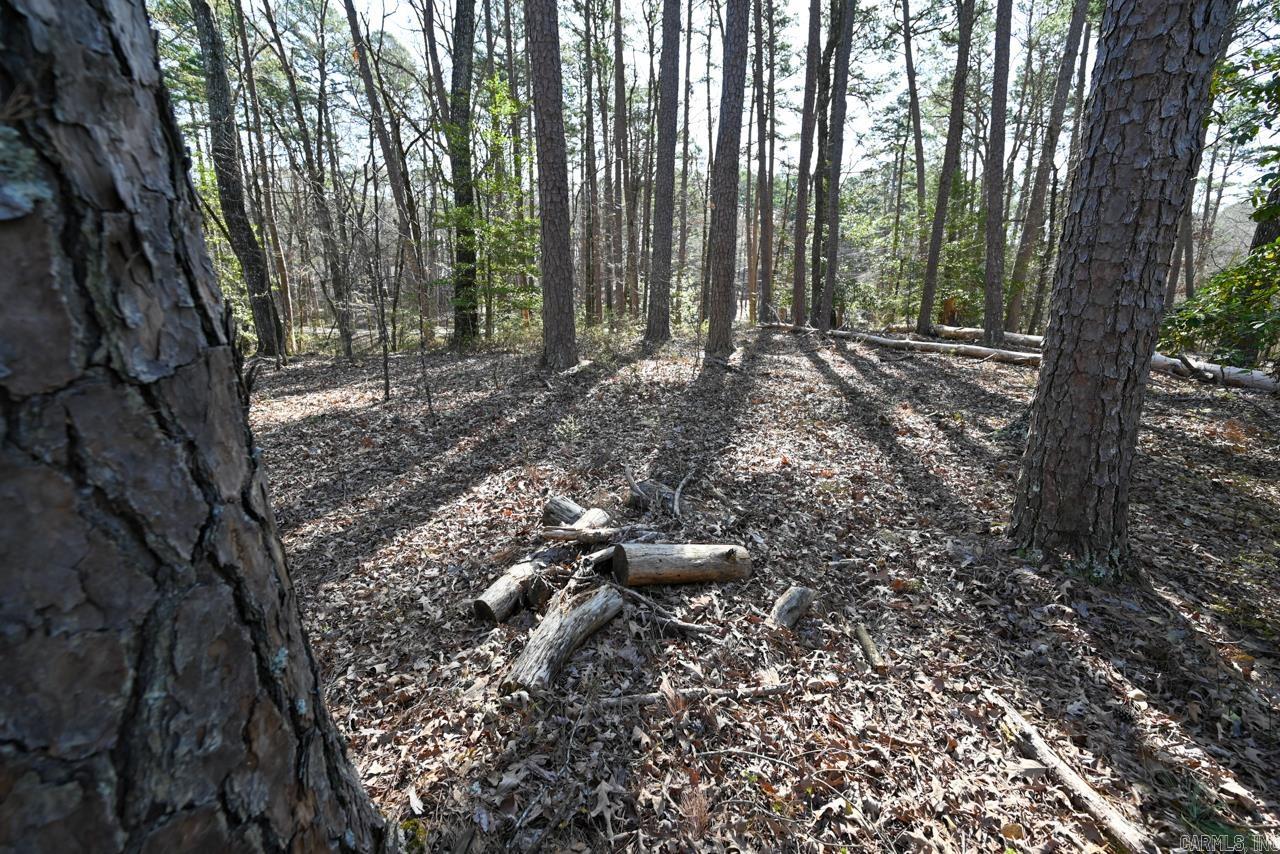 TBD  Silver Point  Mount Ida, AR