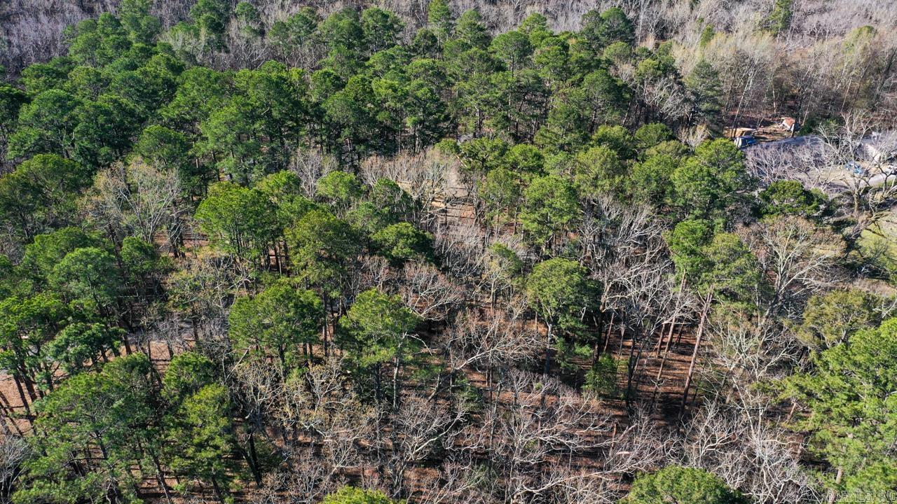 TBD  Silver Point  Mount Ida, AR