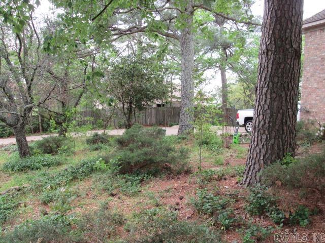 3250  Miller's View Road  Conway, AR