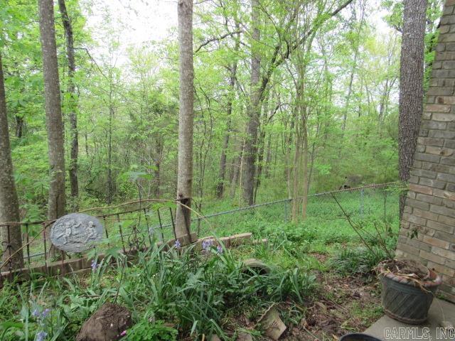 3250  Miller's View Road  Conway, AR