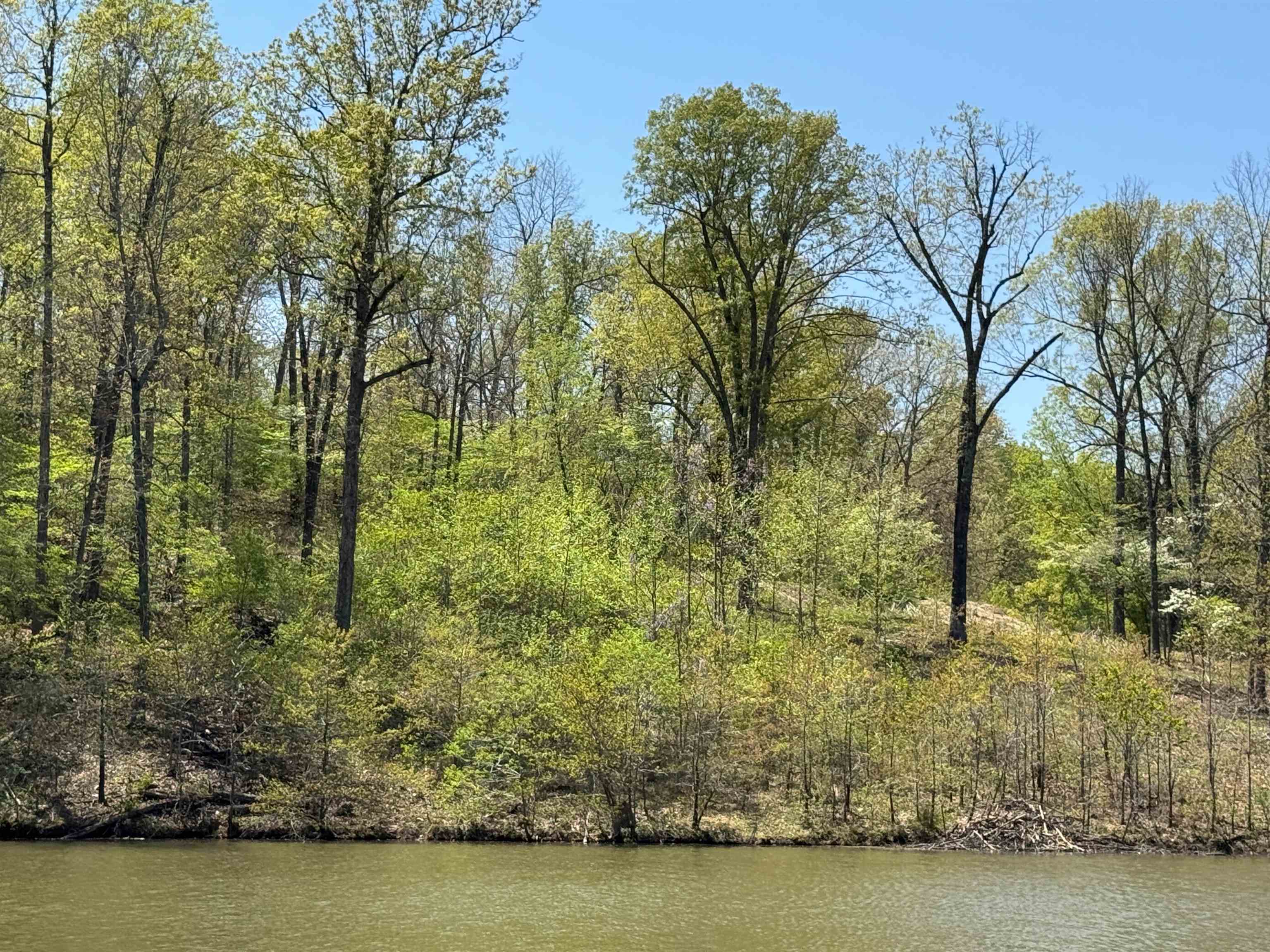 Lot 14  Hualapi Dr  Cherokee Village, AR