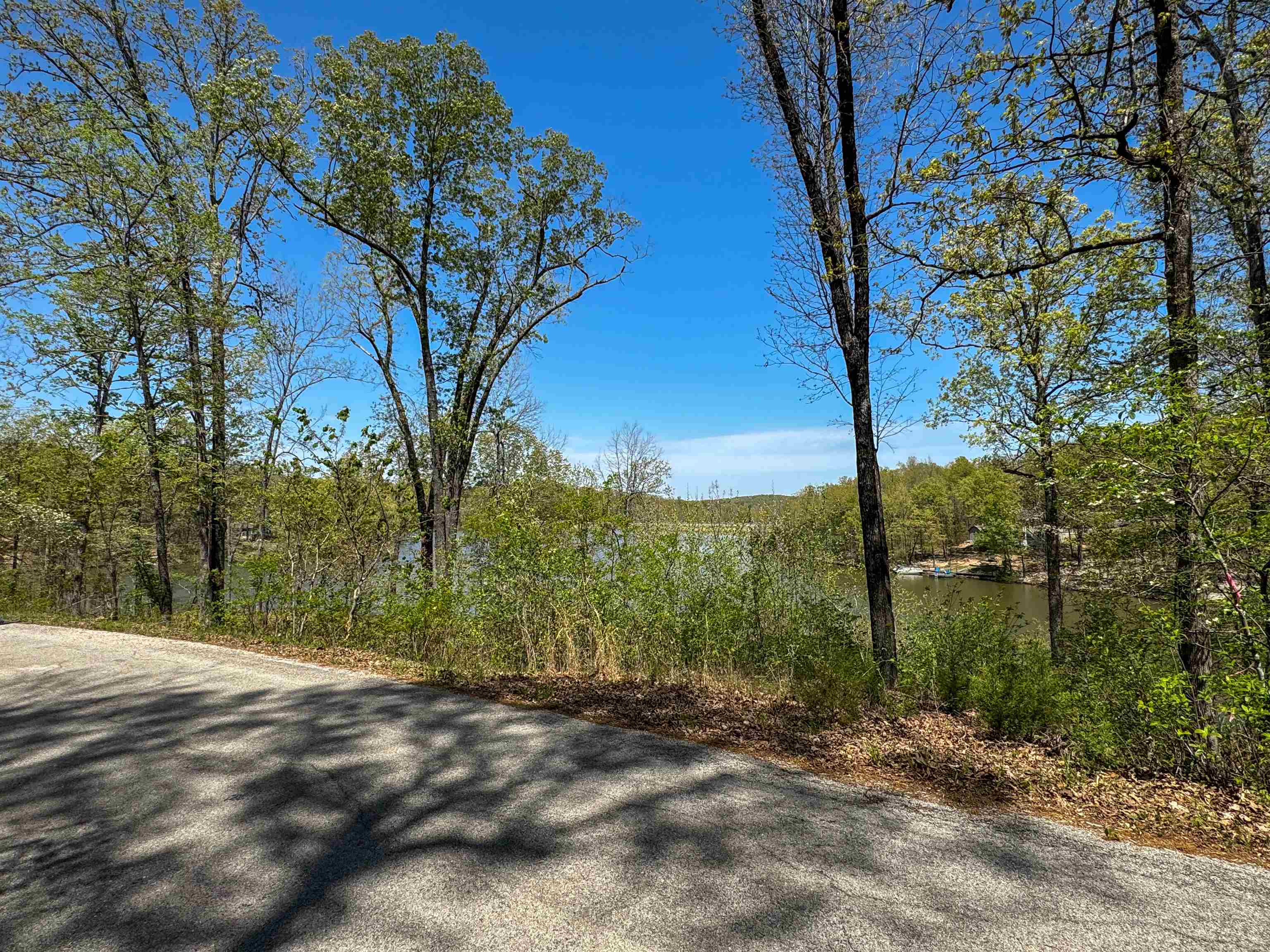 Lot 14  Hualapi Dr  Cherokee Village, AR