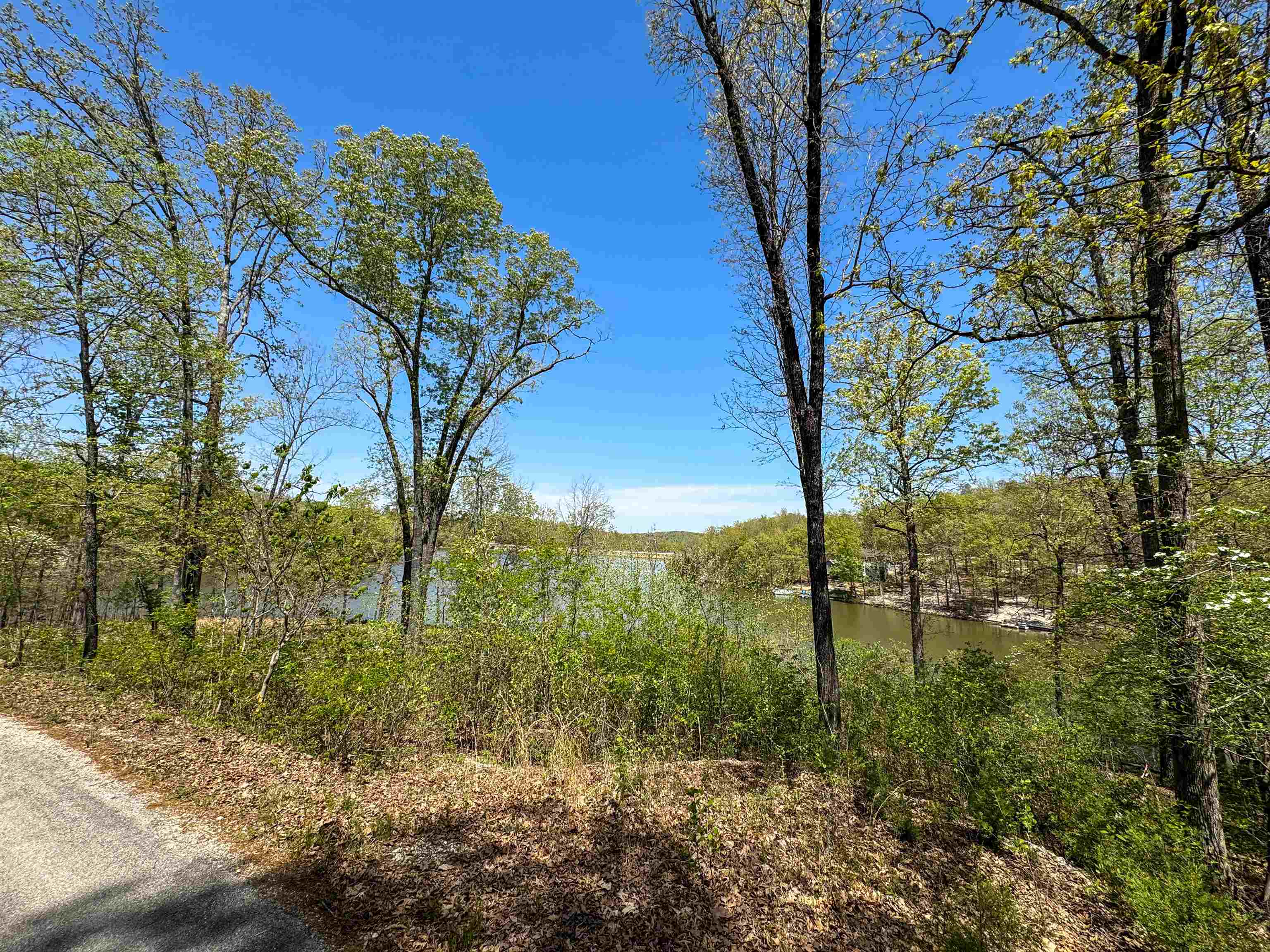 Lot 14  Hualapi Dr  Cherokee Village, AR
