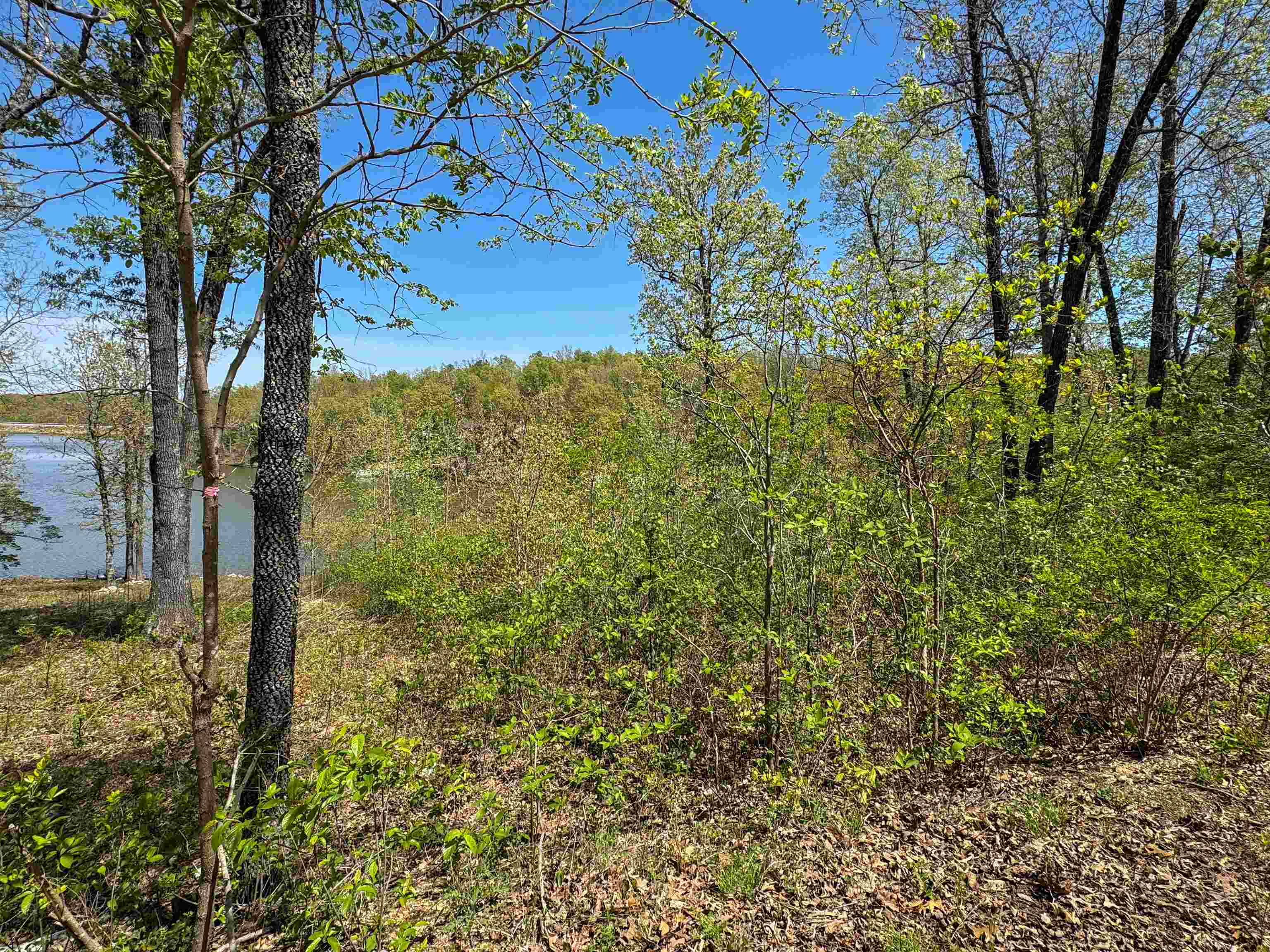 Lot 14  Hualapi Dr  Cherokee Village, AR