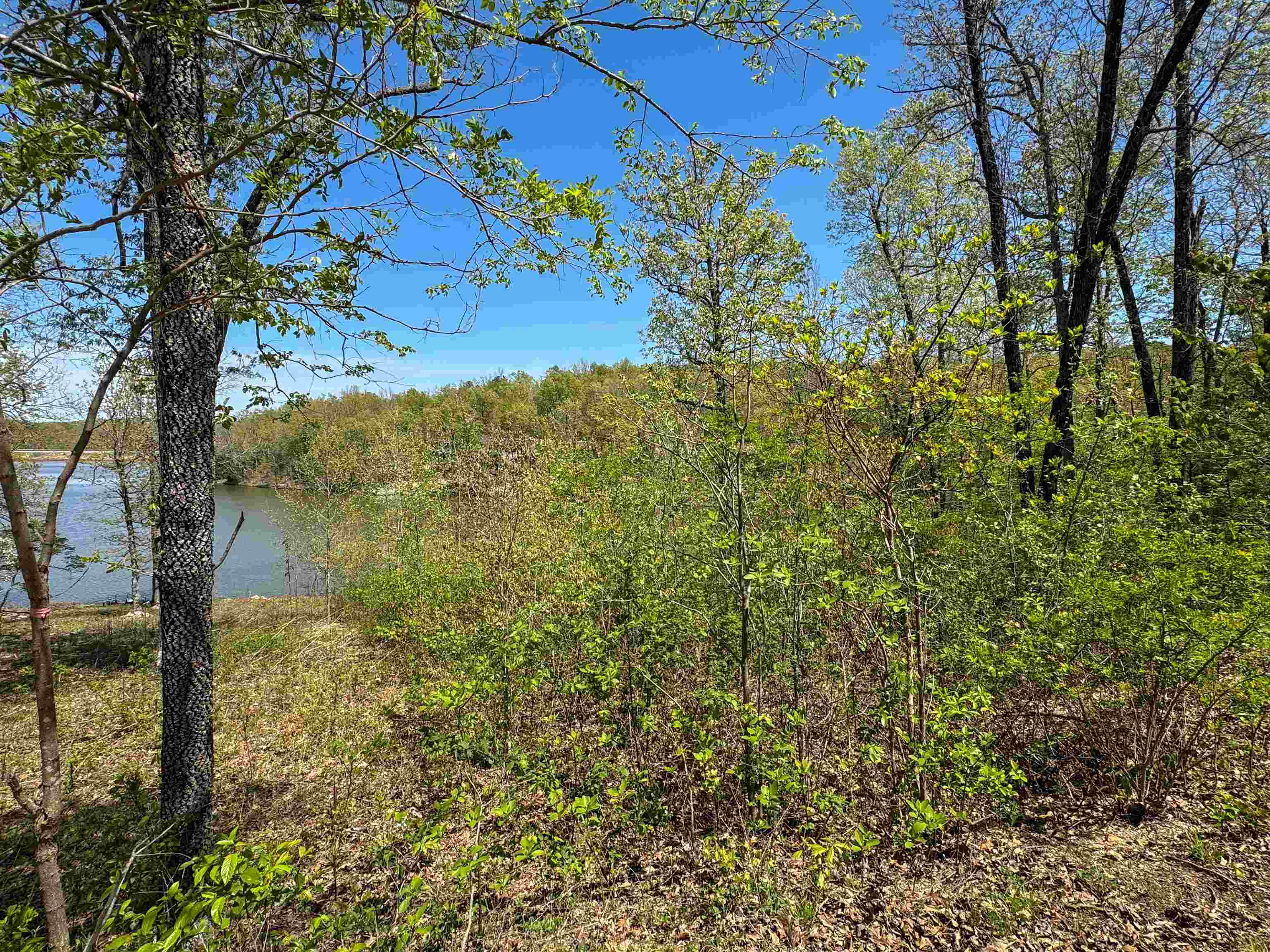 Lot 14  Hualapi Dr  Cherokee Village, AR