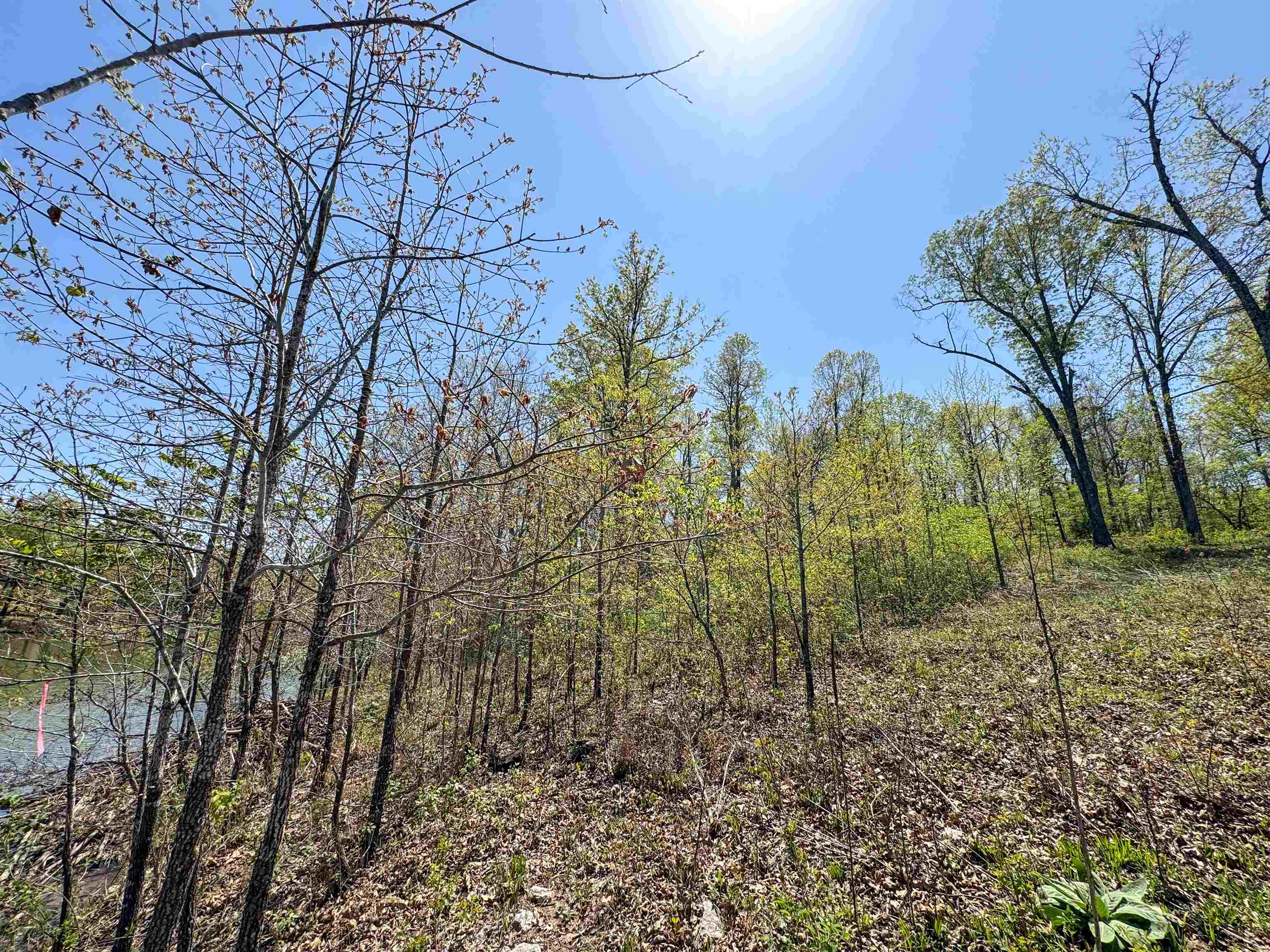 Lot 14  Hualapi Dr  Cherokee Village, AR