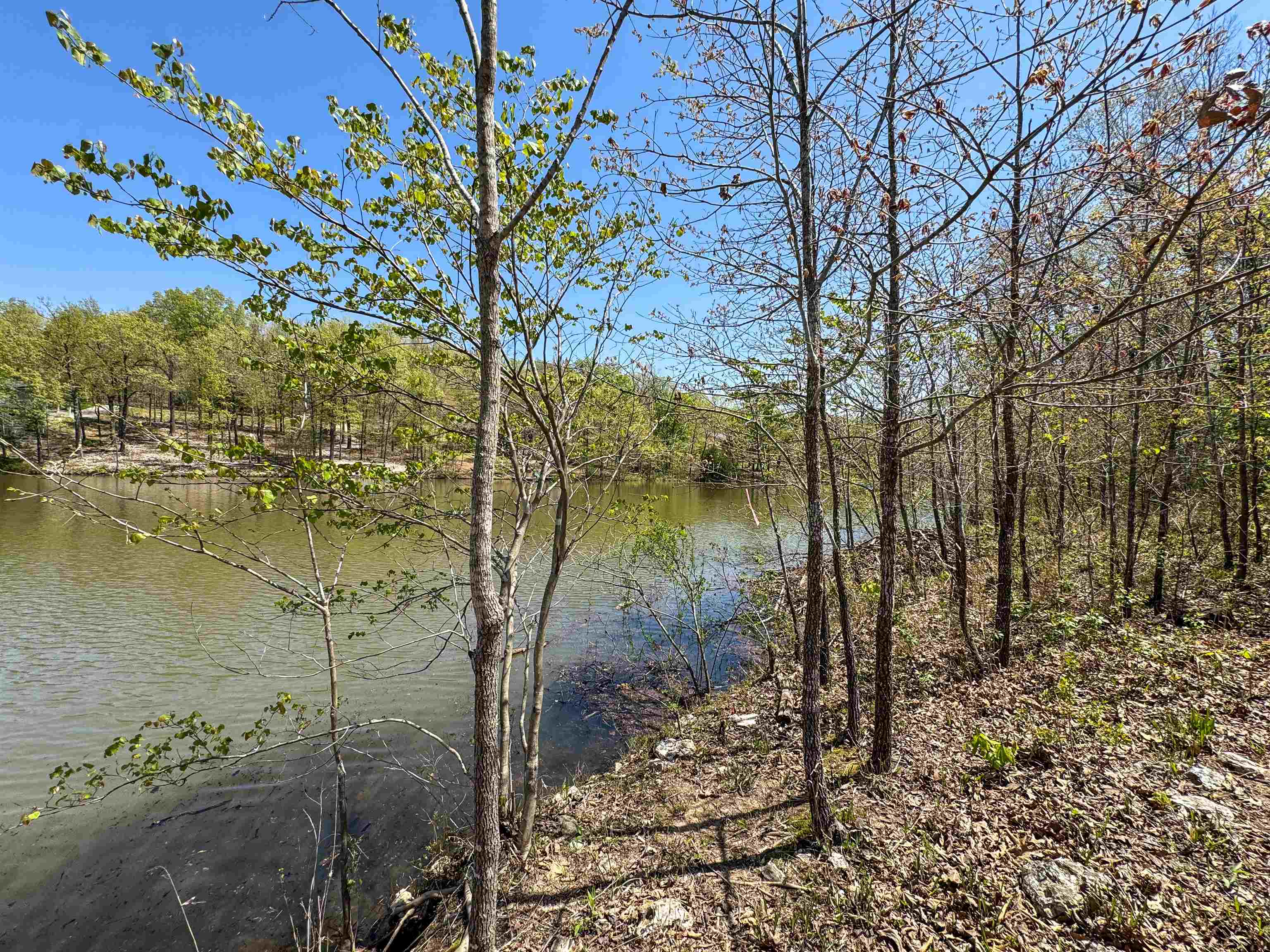 Lot 14  Hualapi Dr  Cherokee Village, AR
