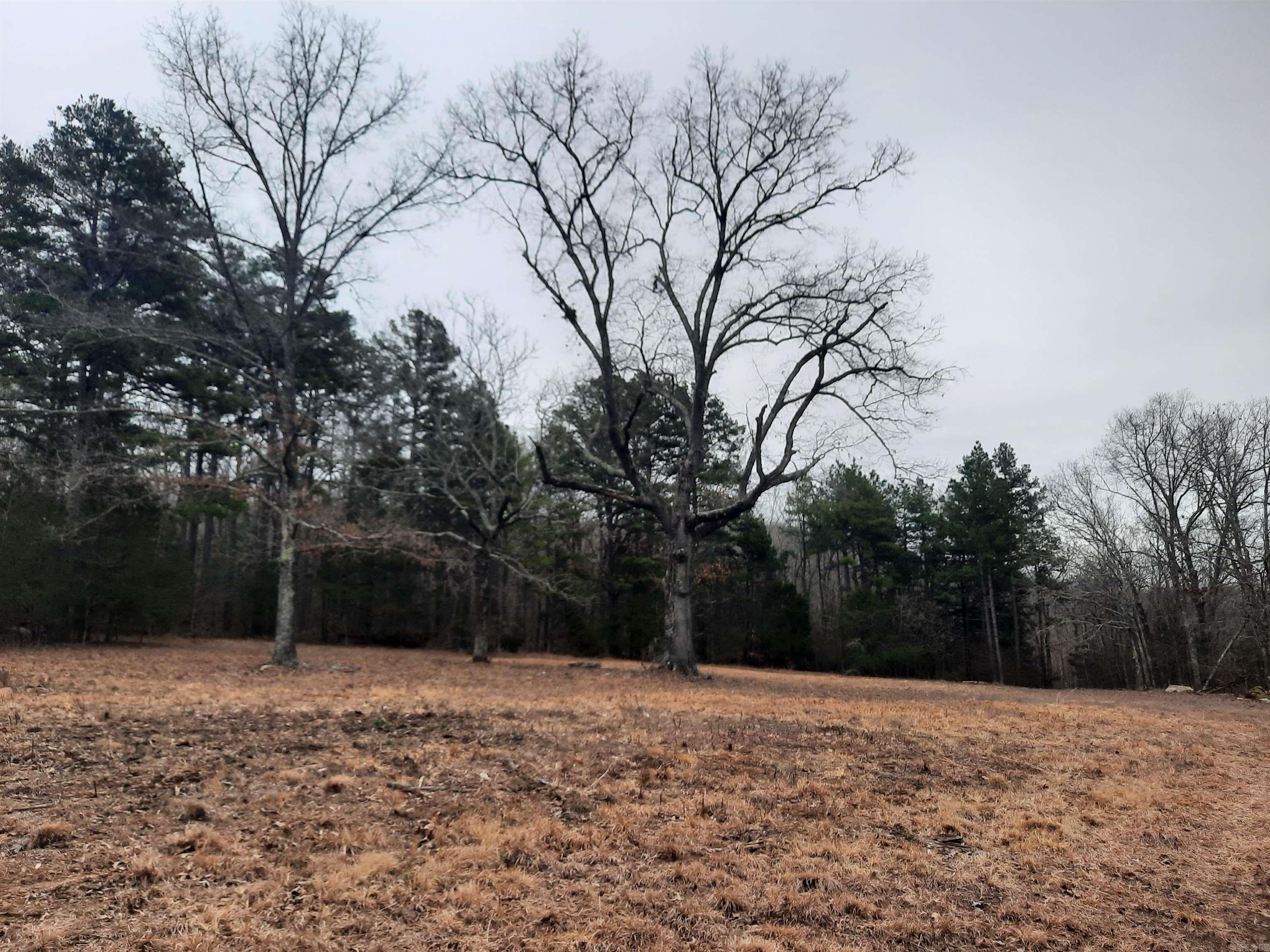 000 S hwy 9  Mountain View, AR