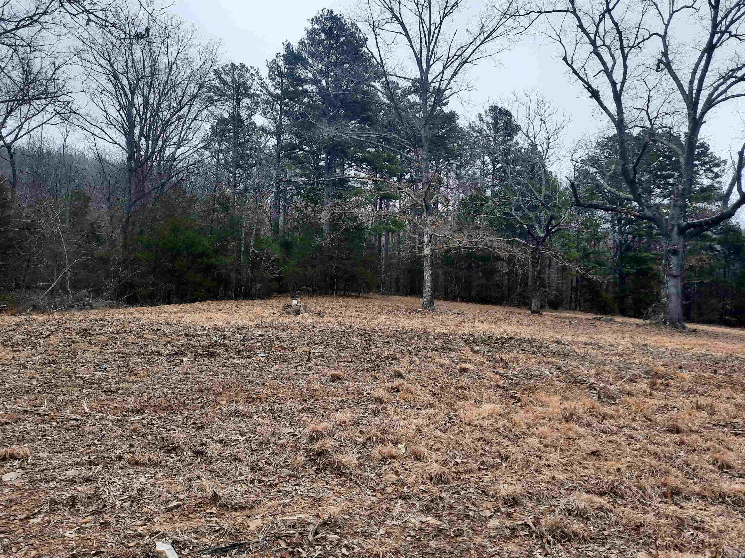 000 S hwy 9  Mountain View, AR