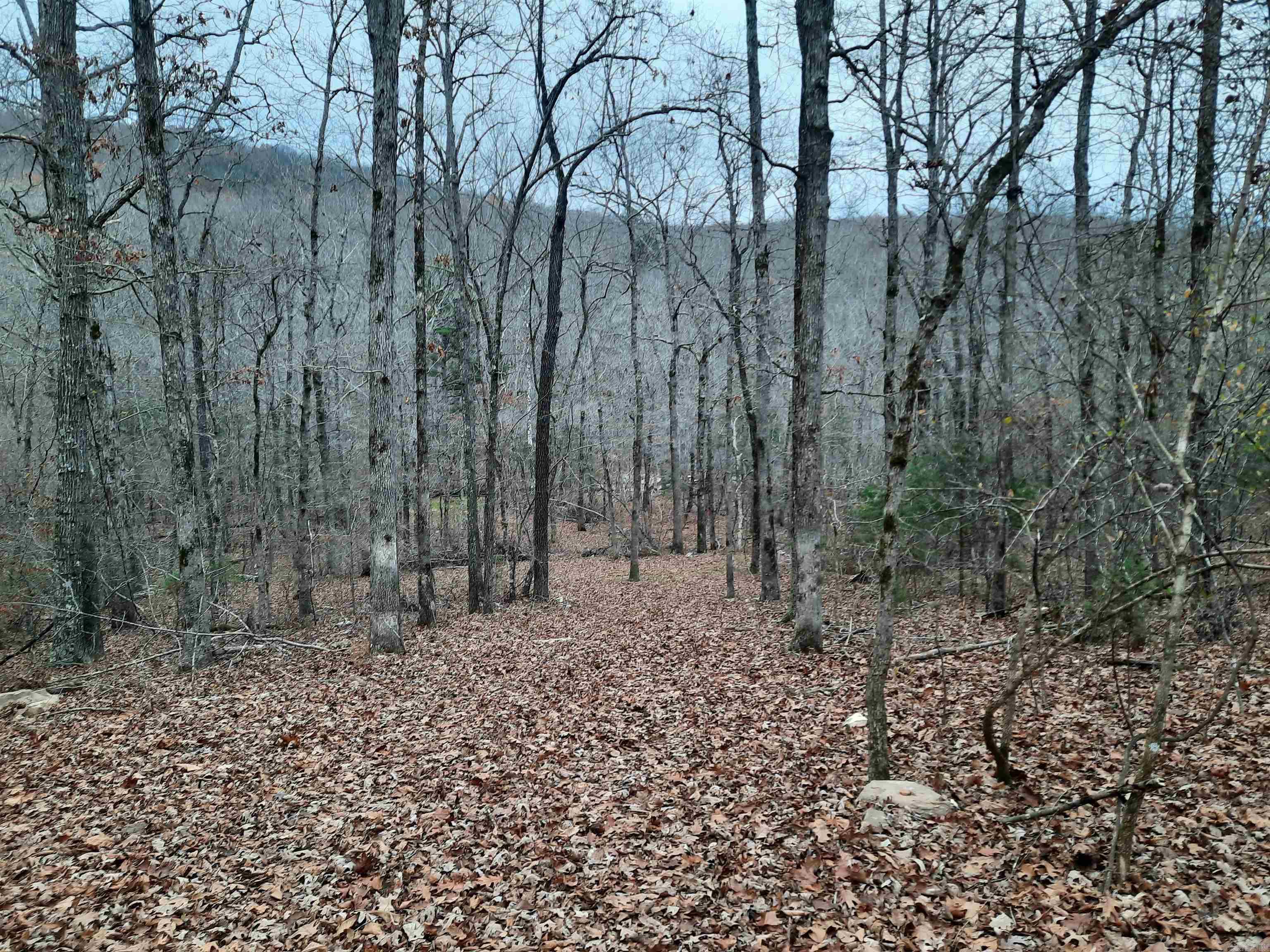 000 S hwy 9  Mountain View, AR