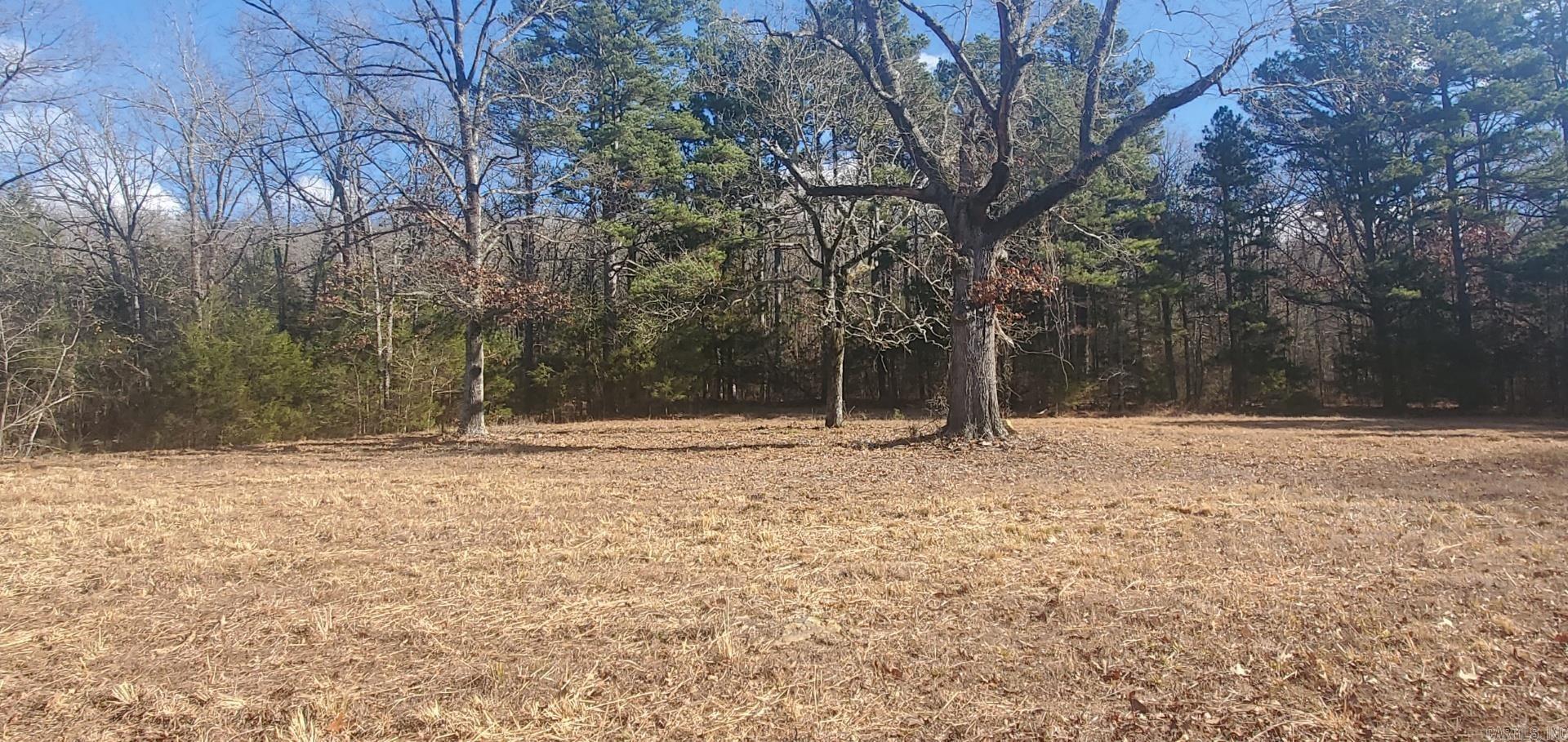 000 S hwy 9  Mountain View, AR