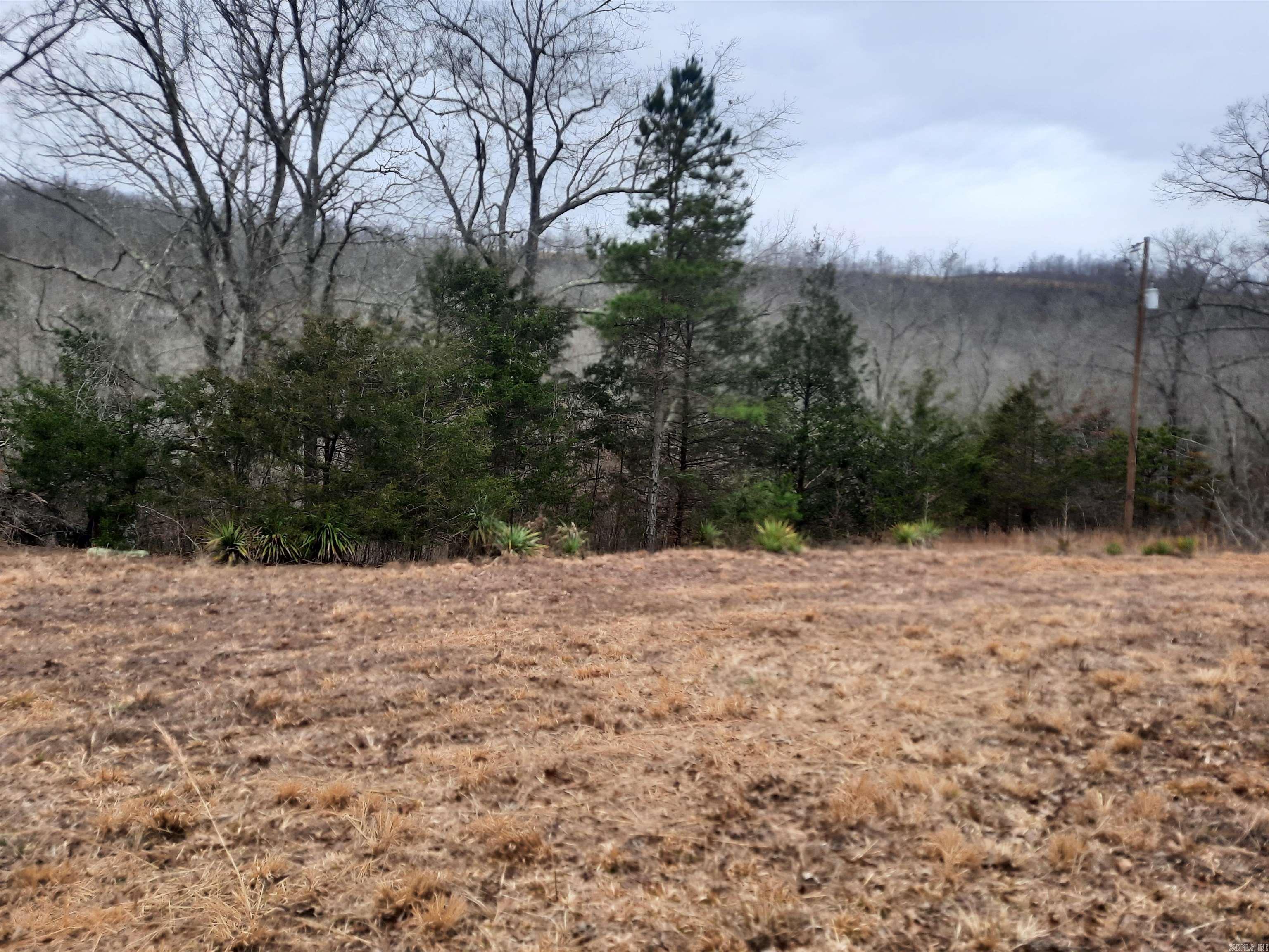 000 S hwy 9  Mountain View, AR