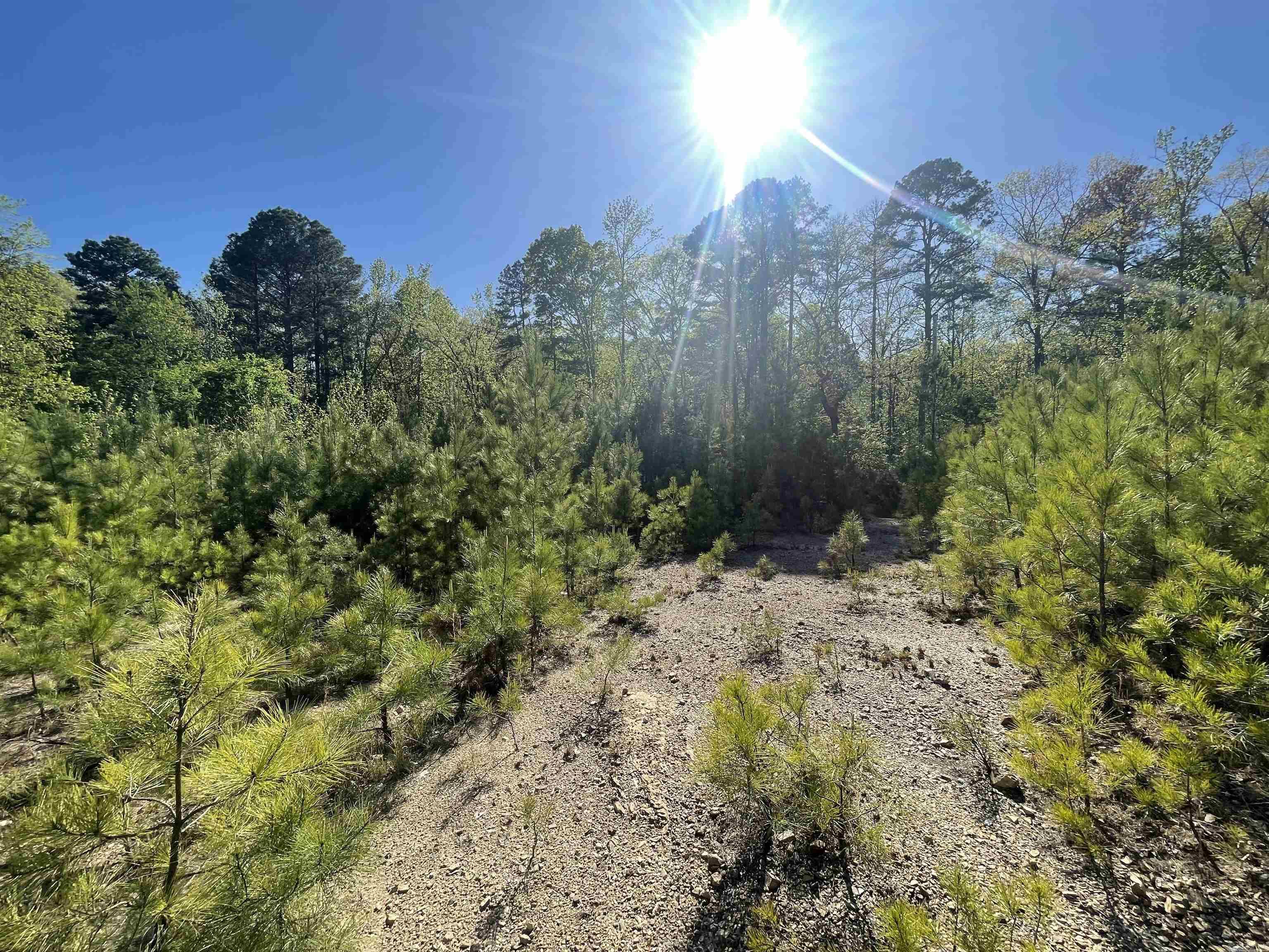 Lot 4  Wilson Lake  Hot Springs, AR