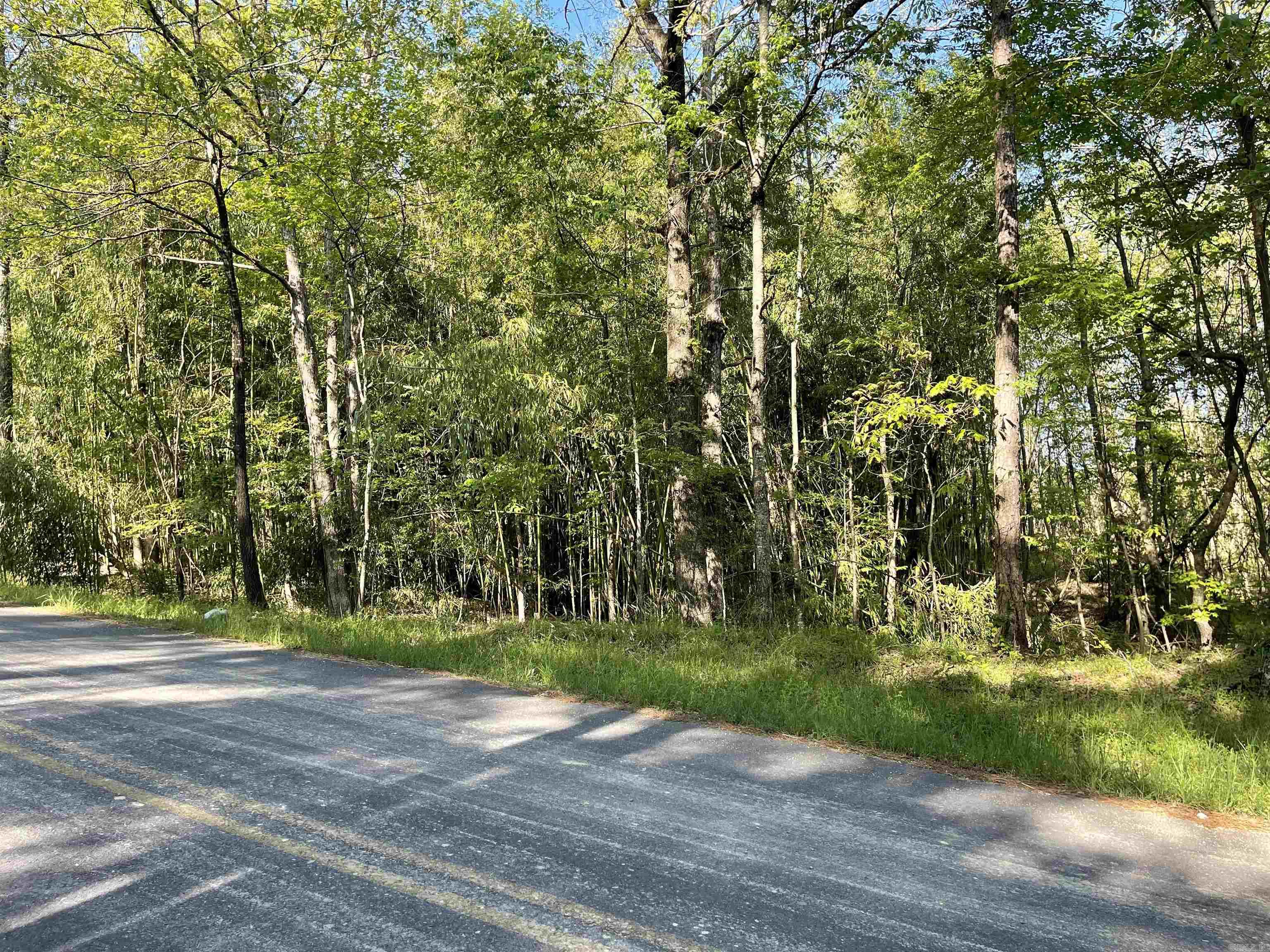 Lot 17  Wilson Lake  Hot Springs, AR