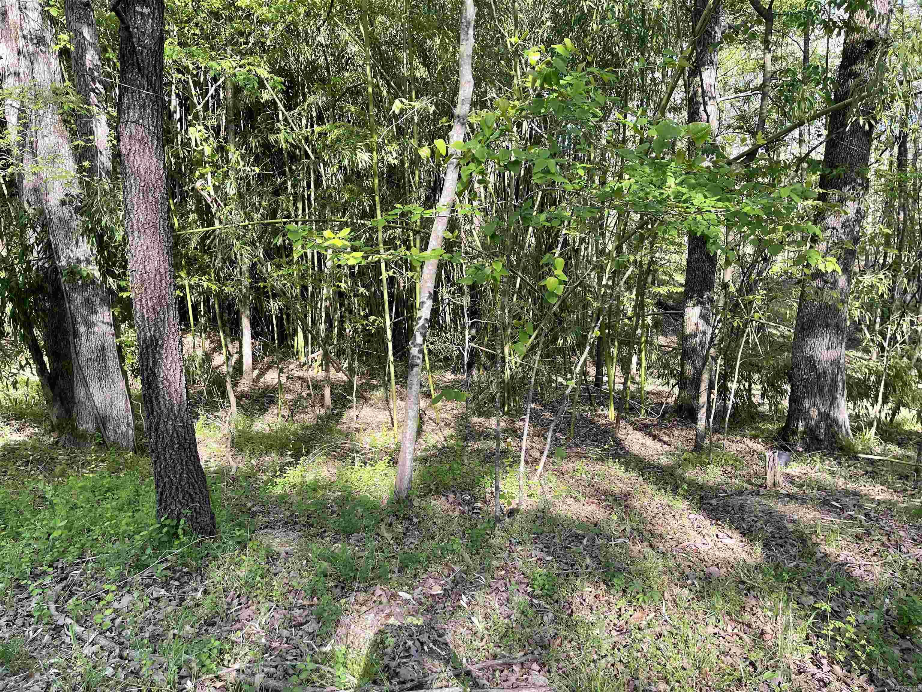 Lot 17  Wilson Lake  Hot Springs, AR