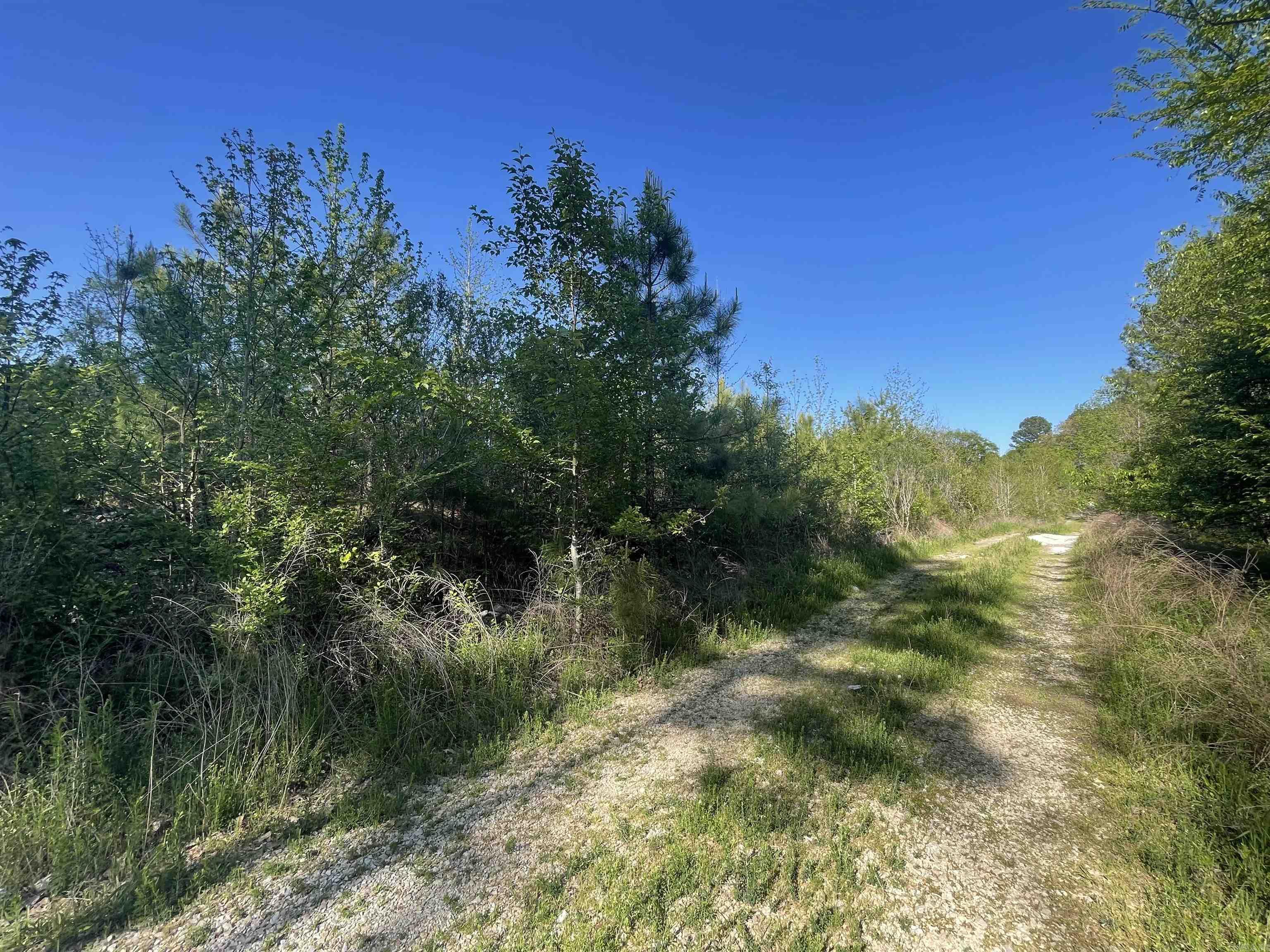 Lot 10  Wilson Lake  Hot Springs, AR
