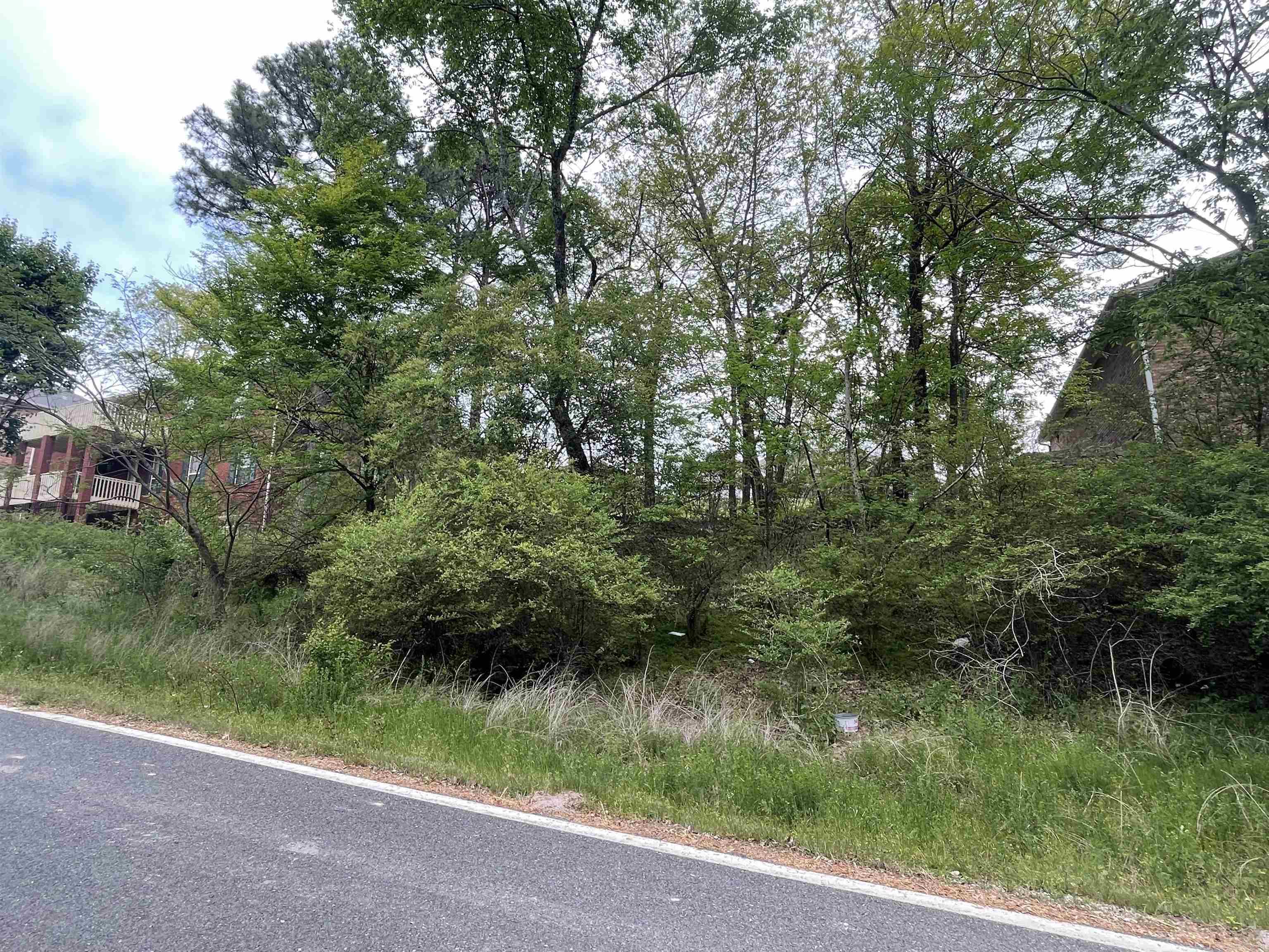 Lot 4  Forest View  Hot Springs, AR