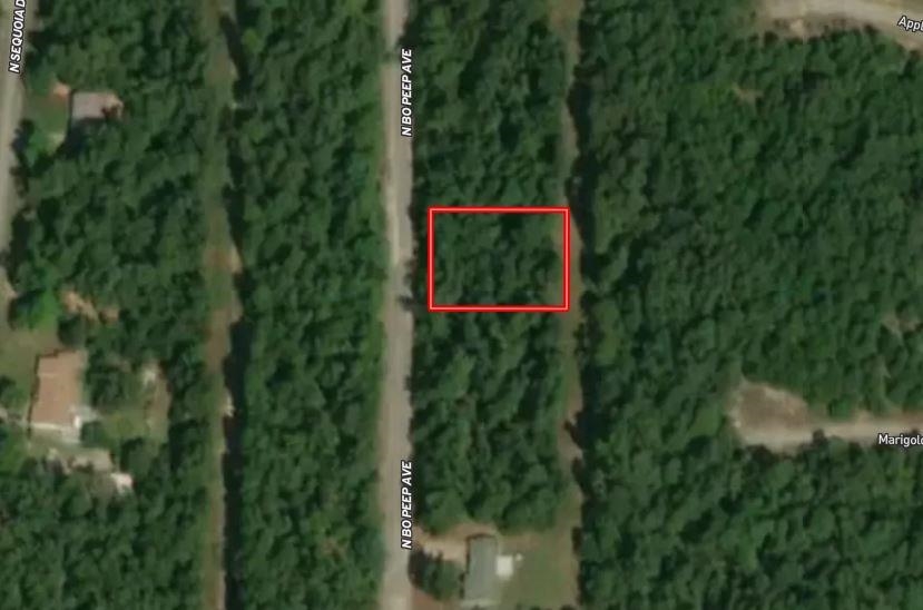 608 N Bo Peep Avenue  Horseshoe Bend, AR