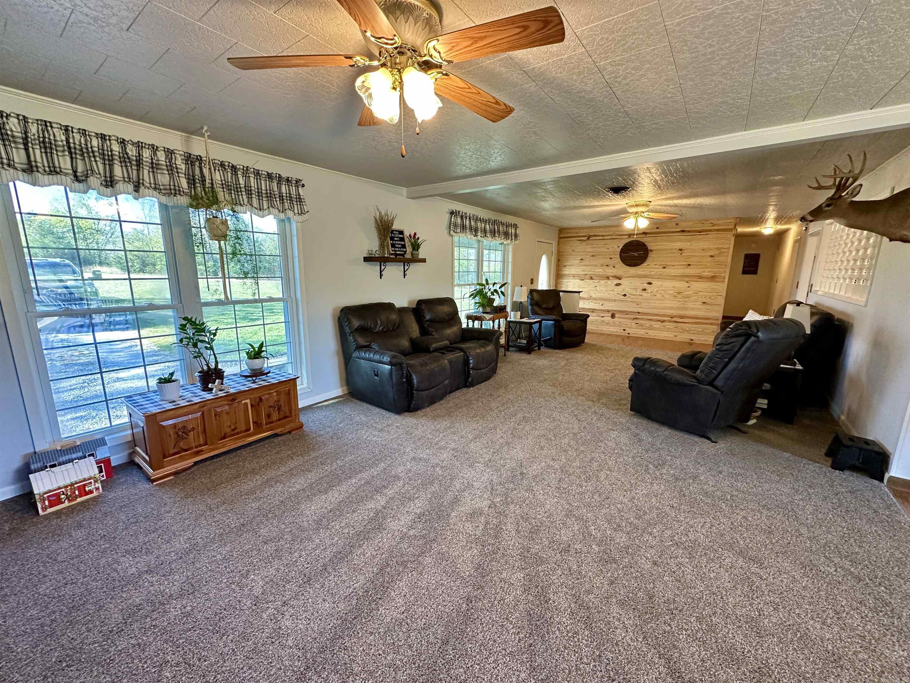 59 Judge Anderson Strawberry, AR 72469