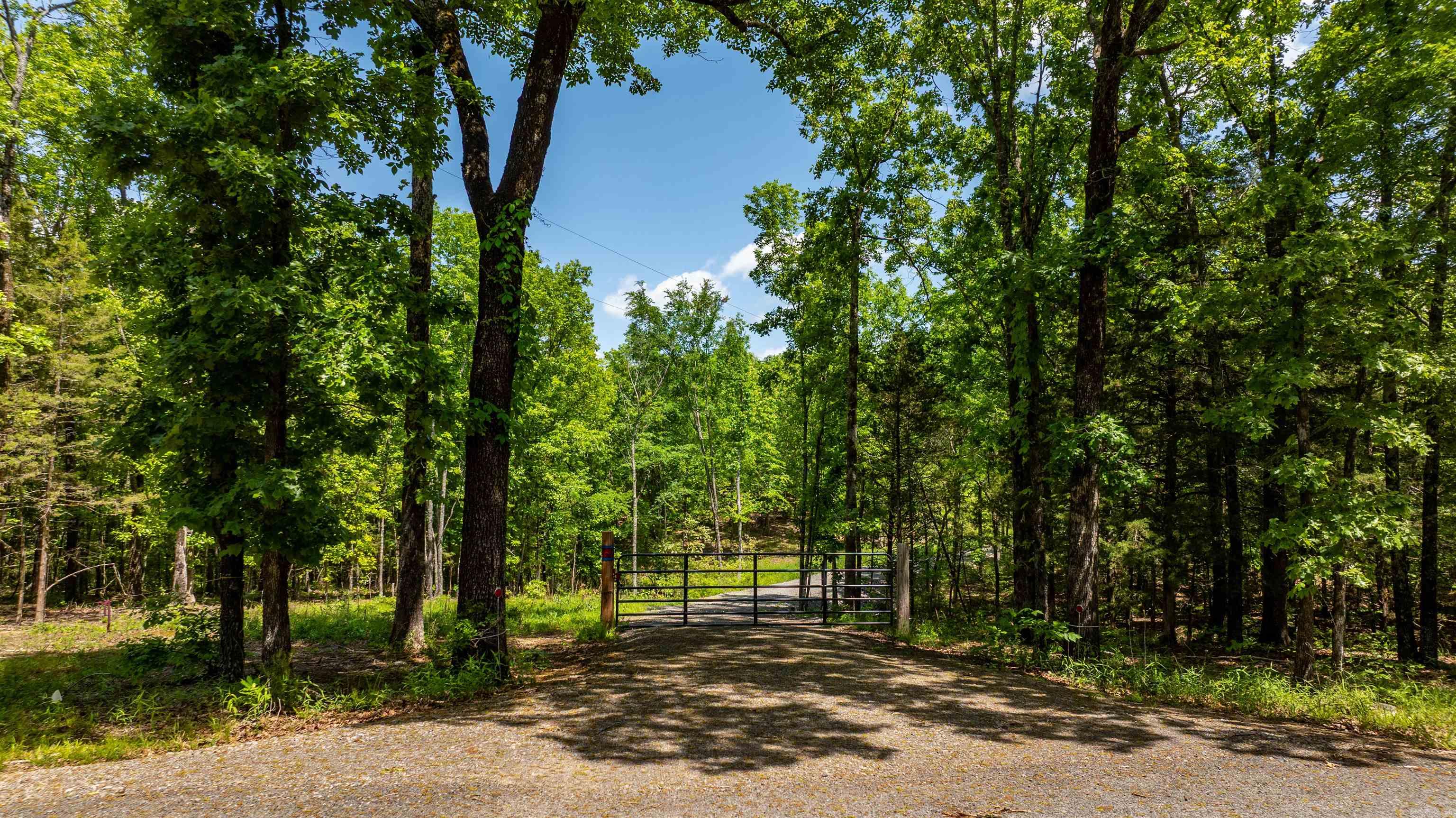 31  Tracy  Greenbrier, AR