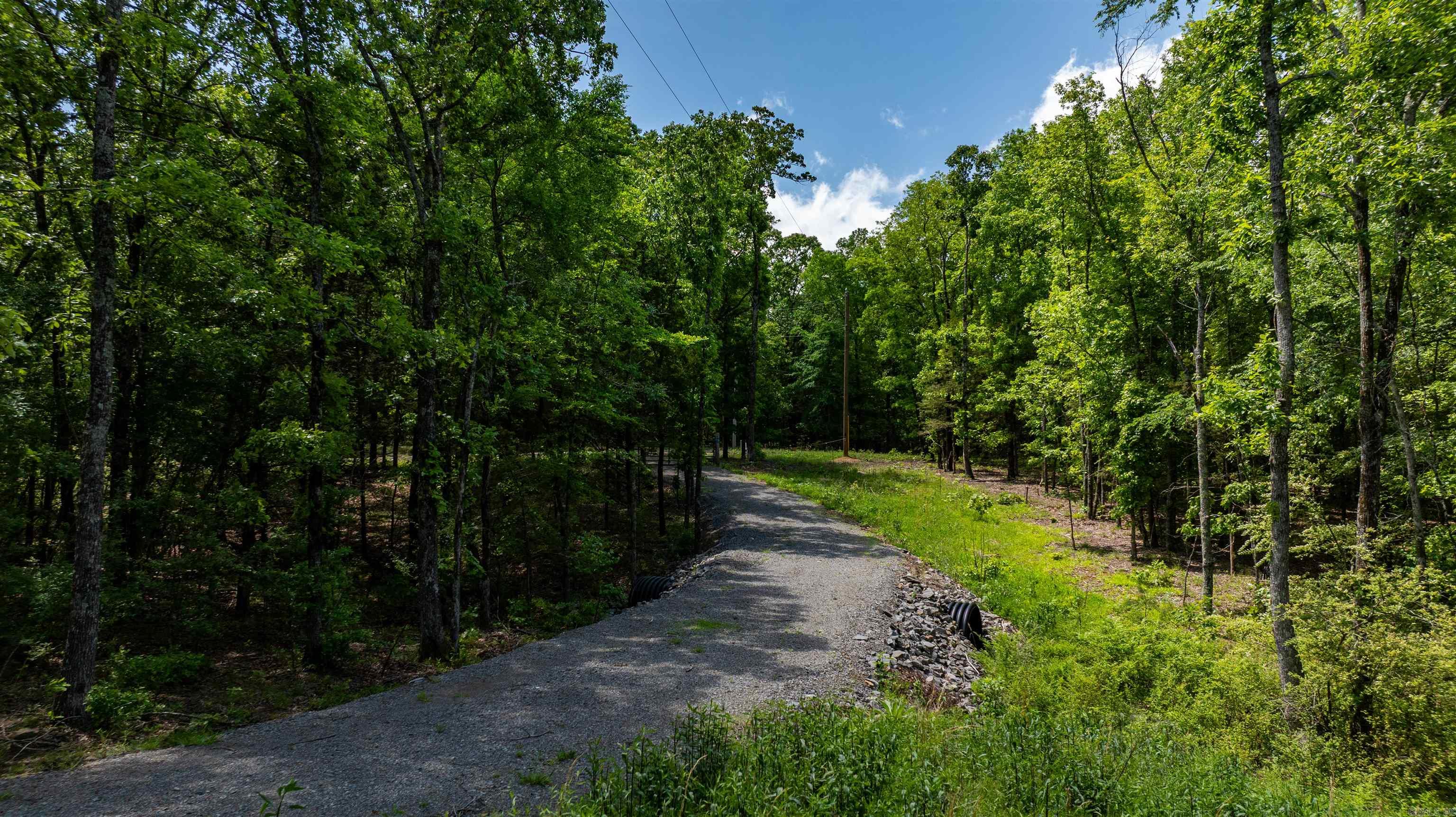 31  Tracy  Greenbrier, AR