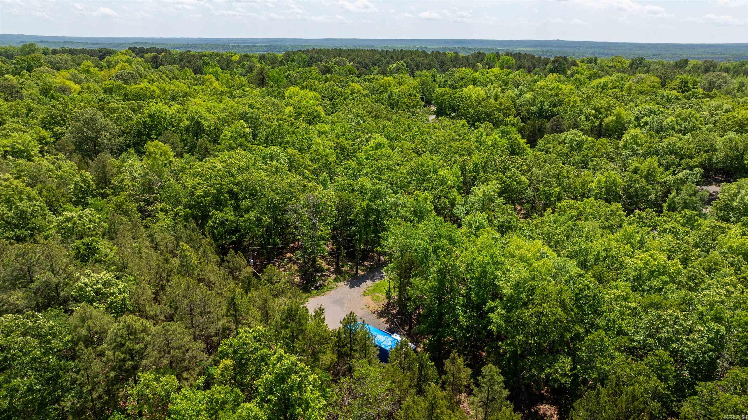31  Tracy  Greenbrier, AR