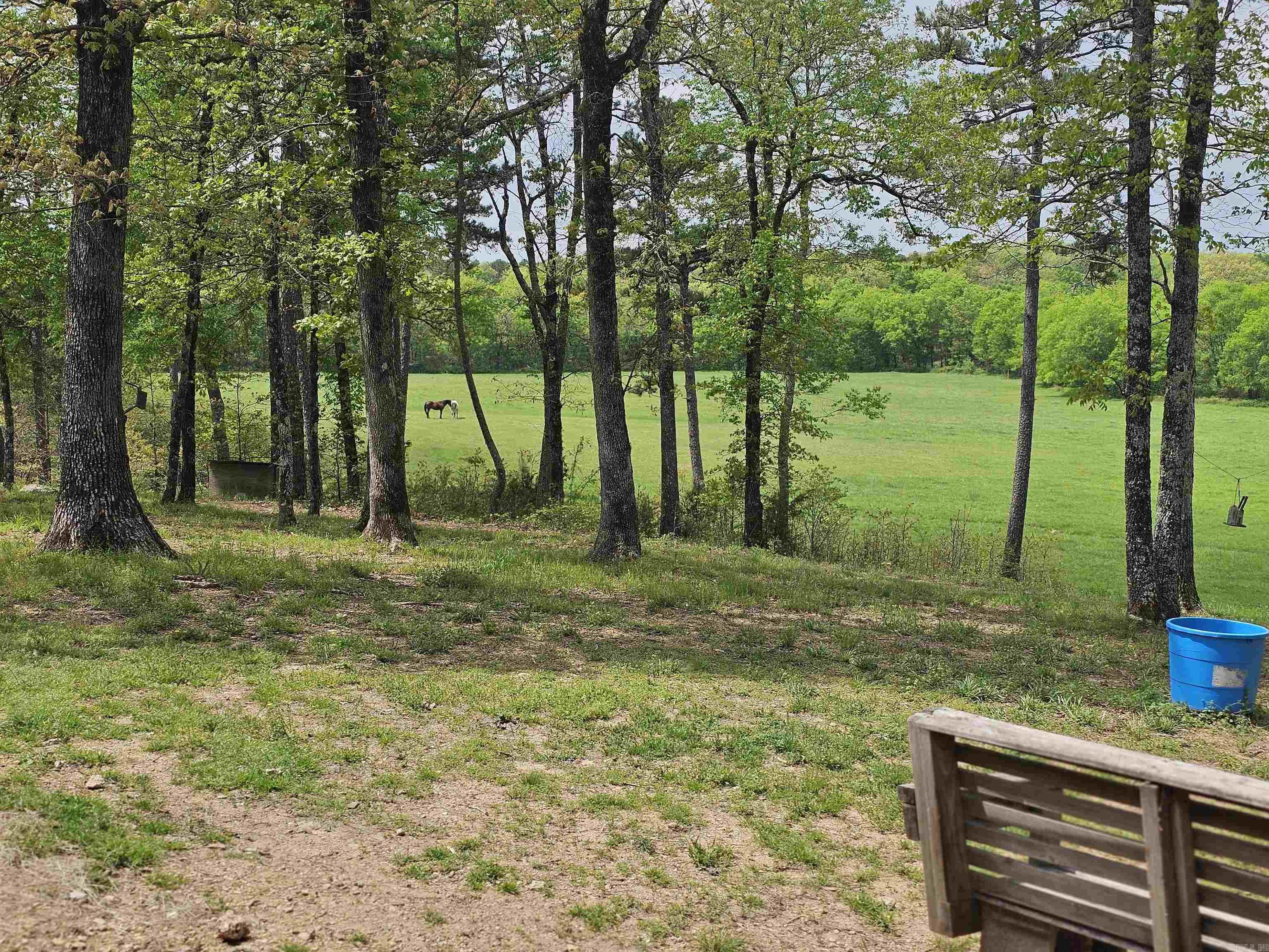 991 Union Hill Road Story, AR 71970