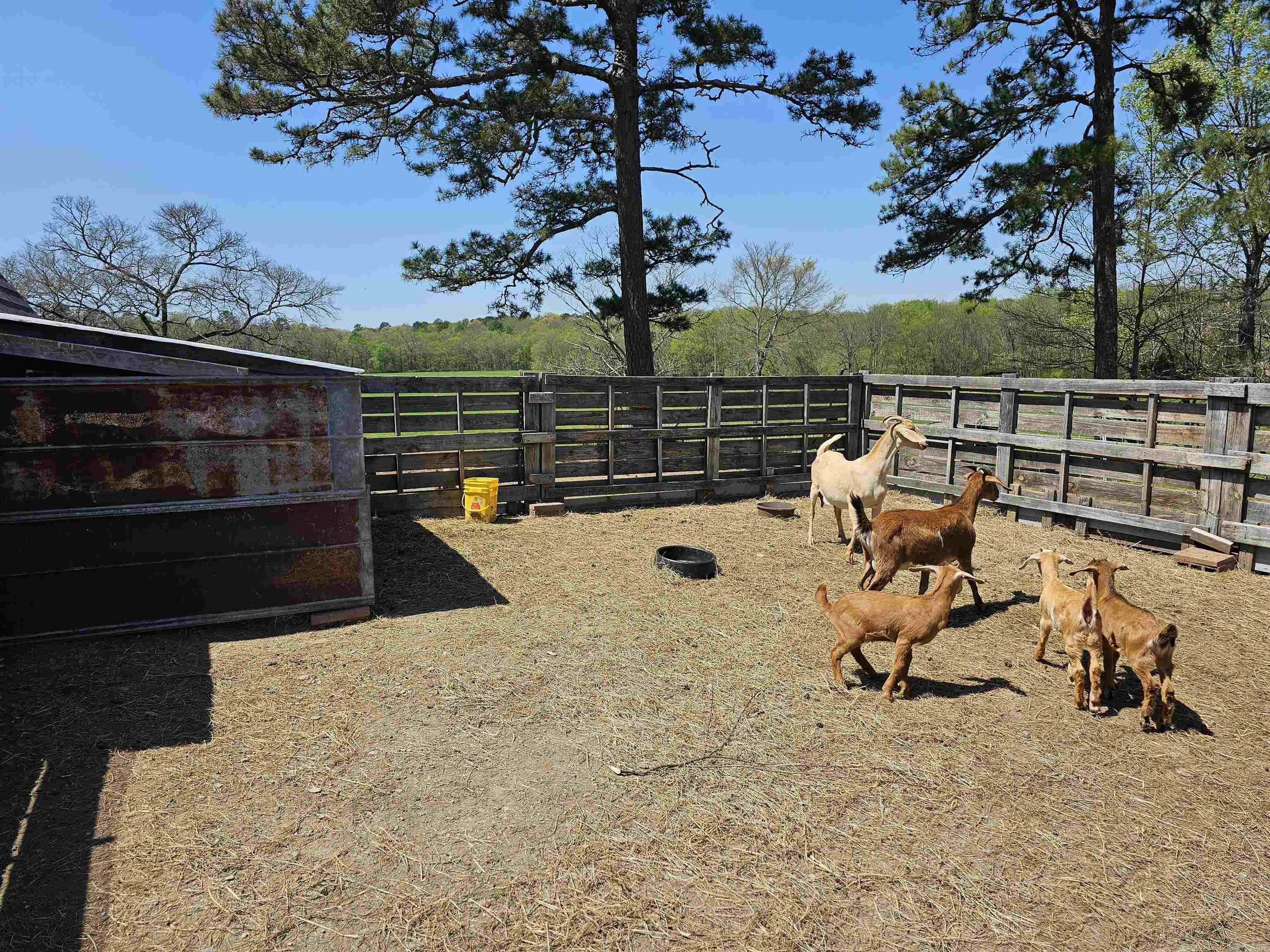 991 Union Hill Road Story, AR 71970