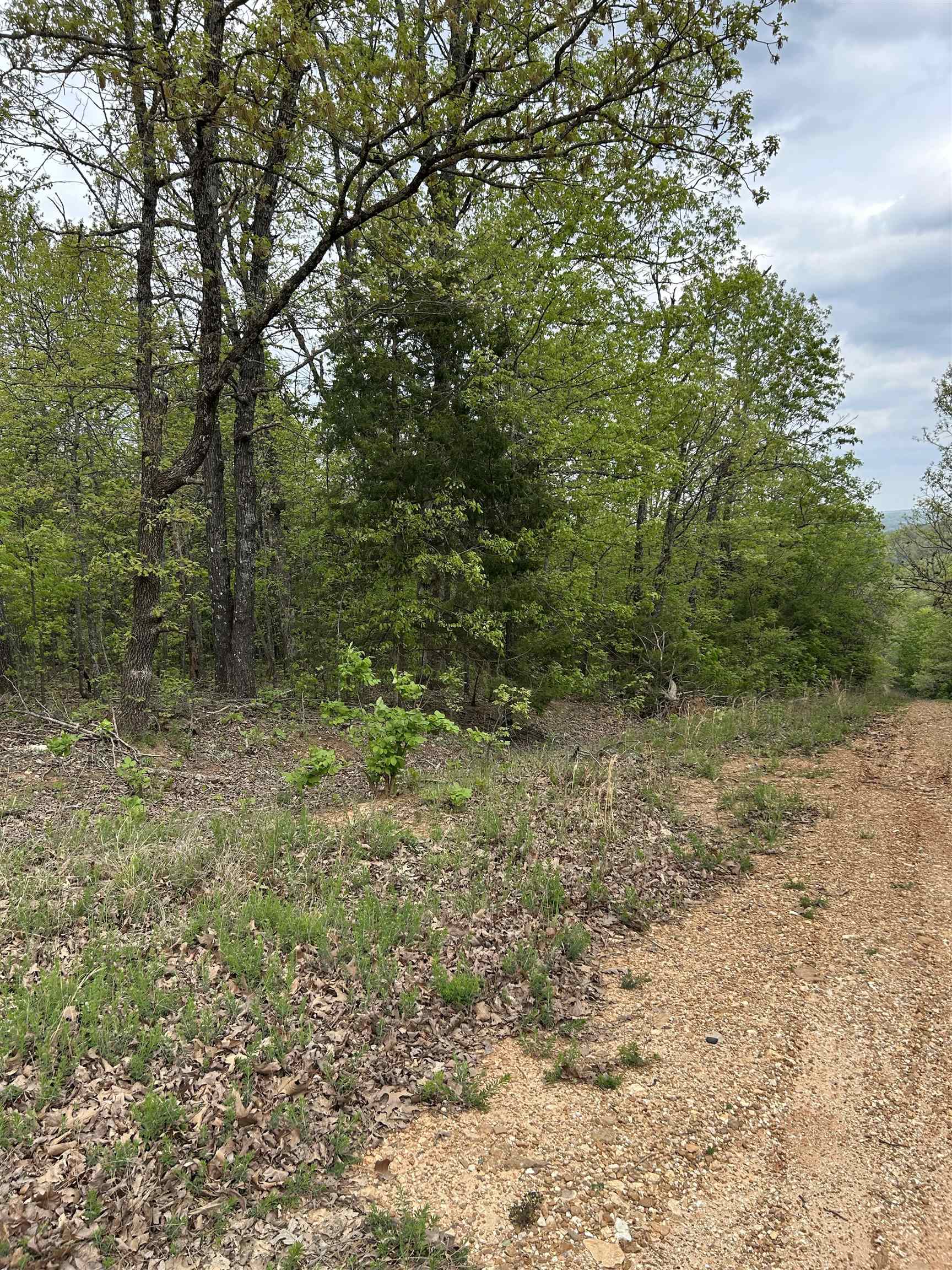 TBD  Slick Rock Rd  Hardy, AR