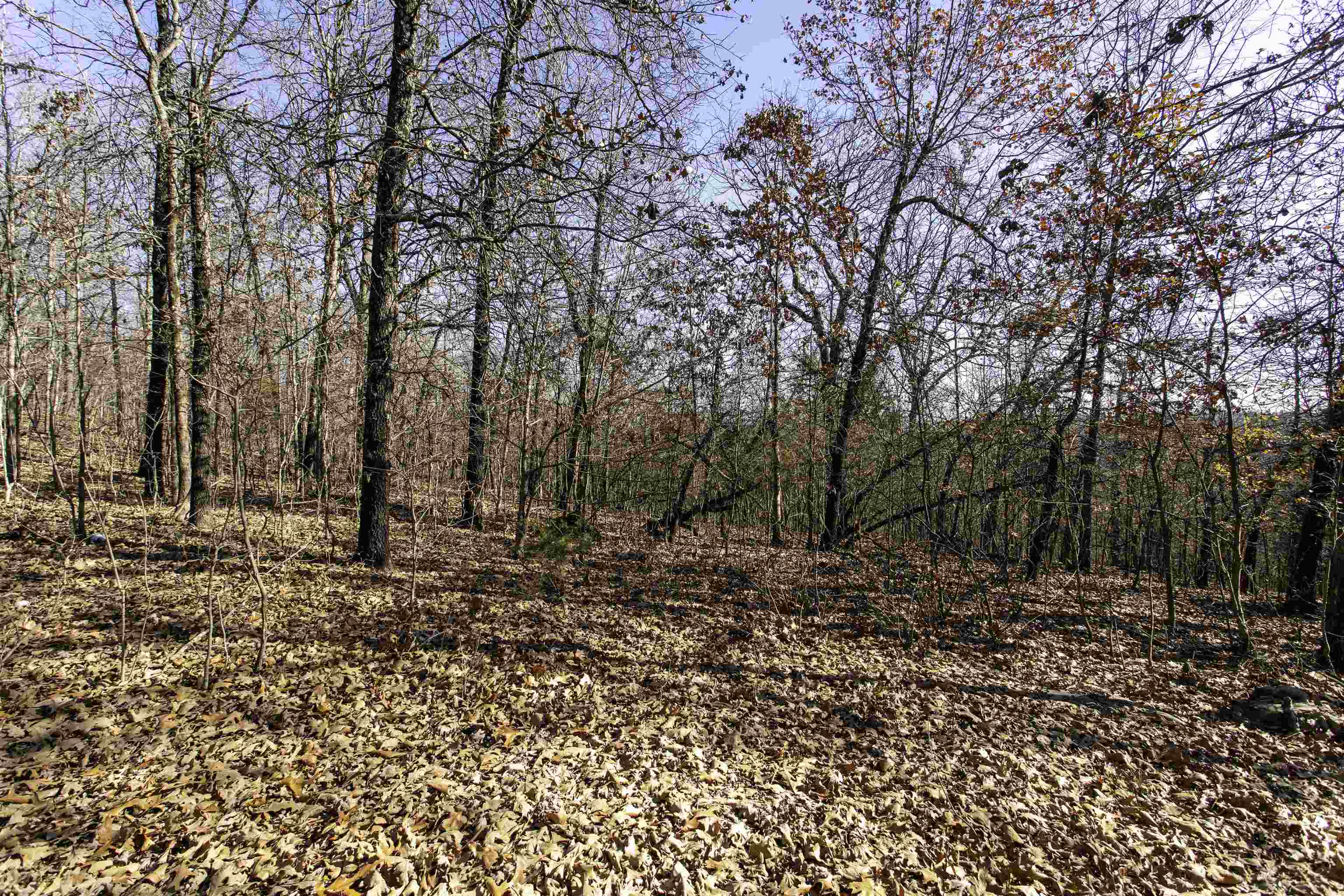 TBD  Slick Rock Rd  Hardy, AR