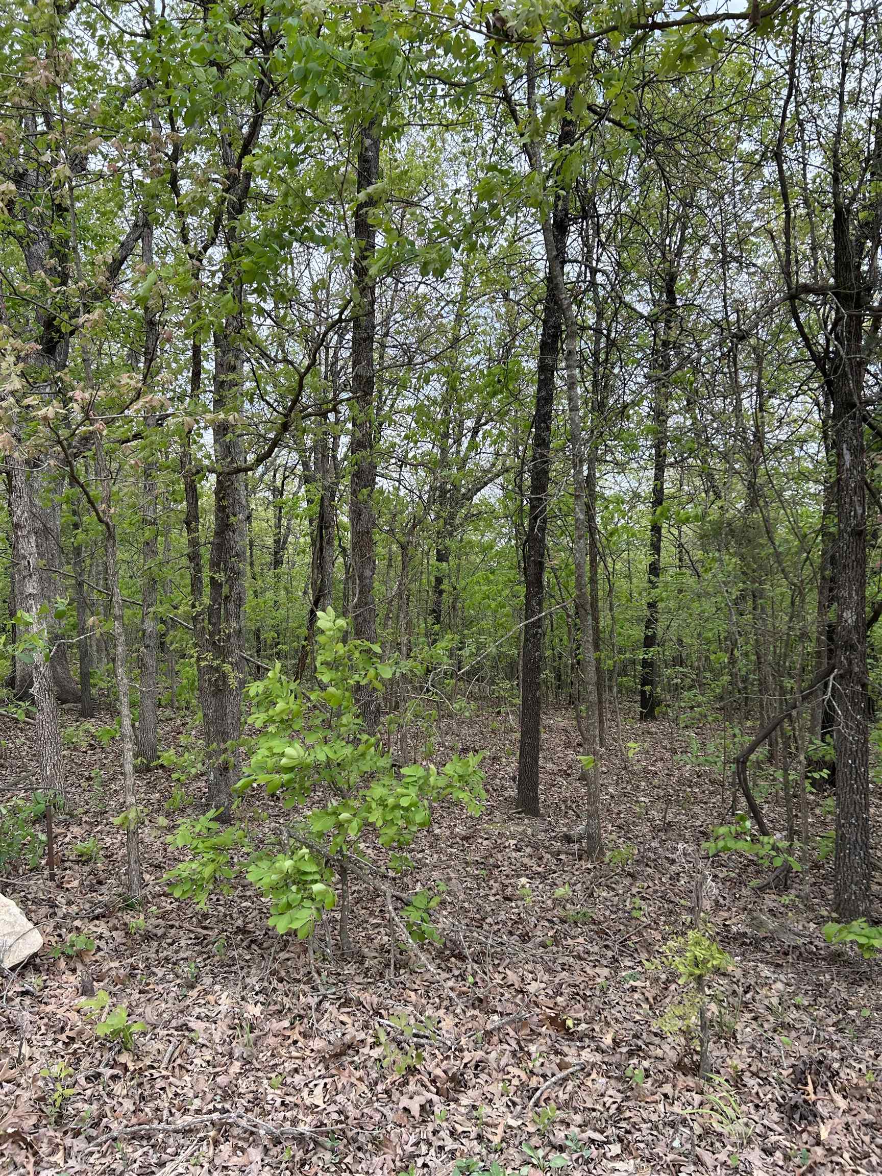 TBD  Slick Rock Rd  Hardy, AR