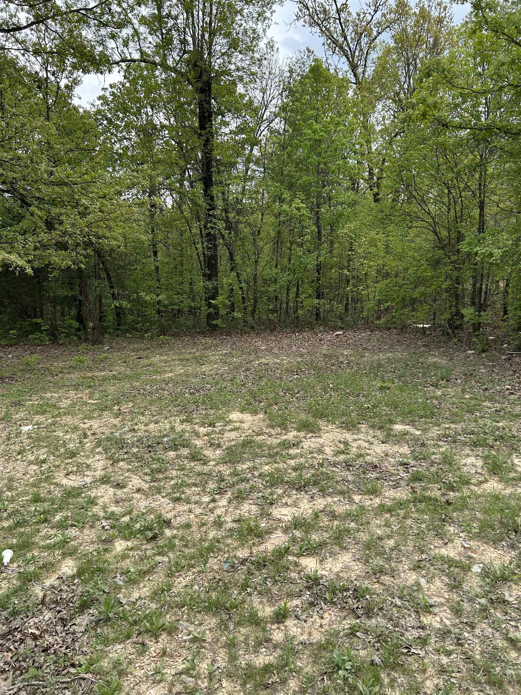 TBD  Slick Rock Rd  Hardy, AR